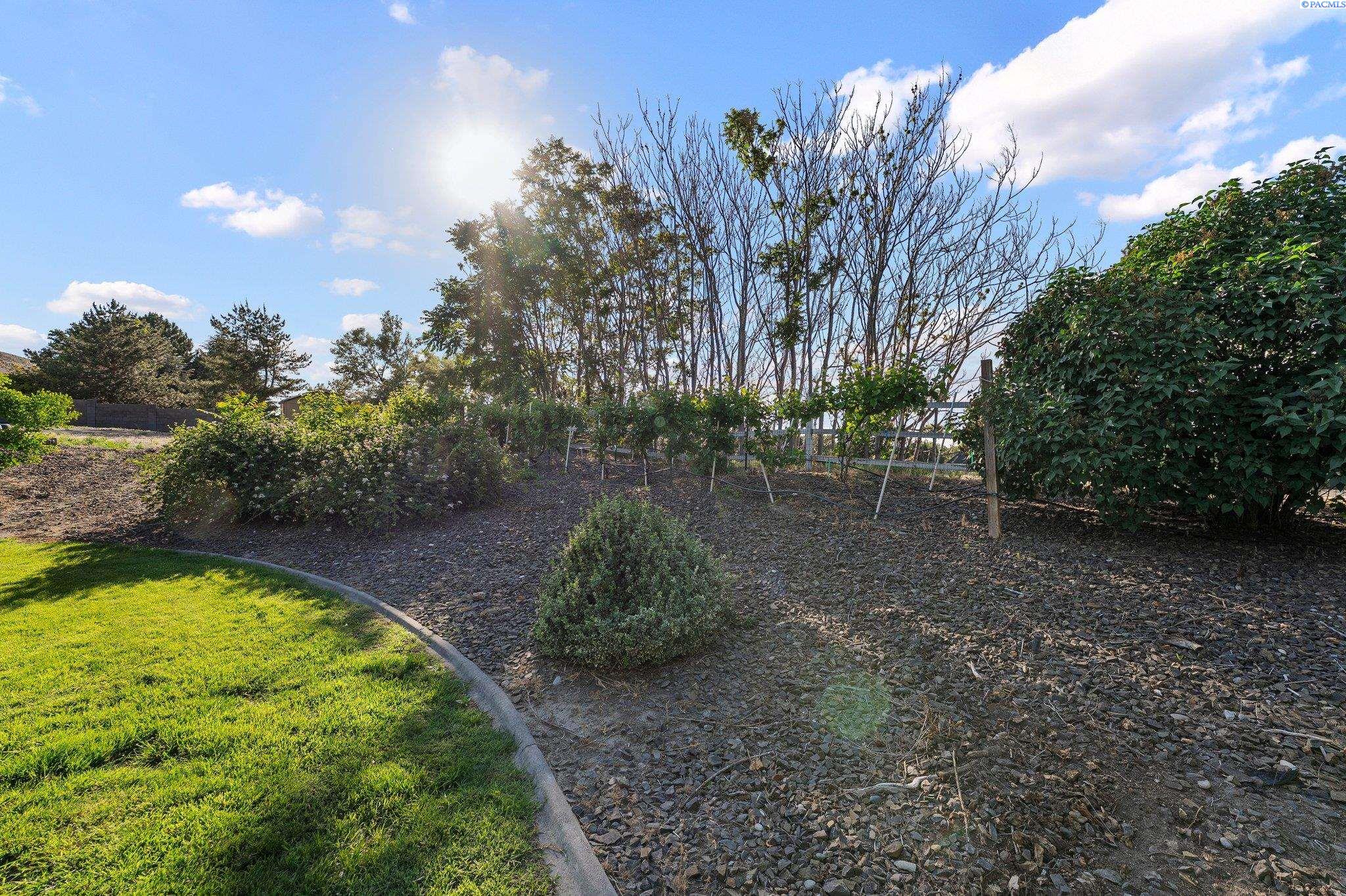 1005 Country Ct
