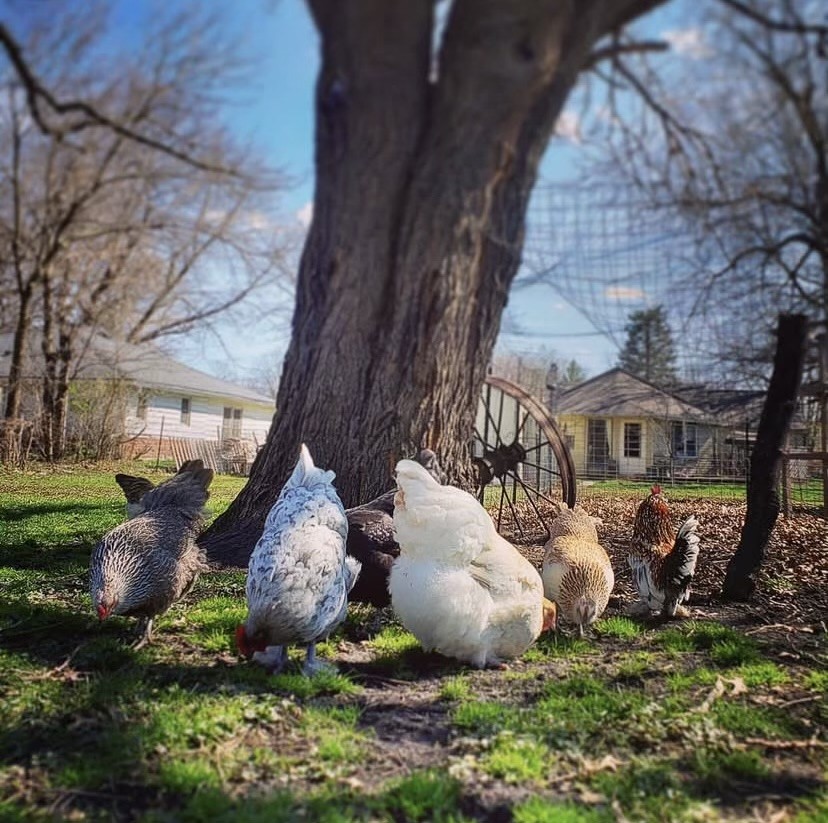 5021 Urbandale Avenue