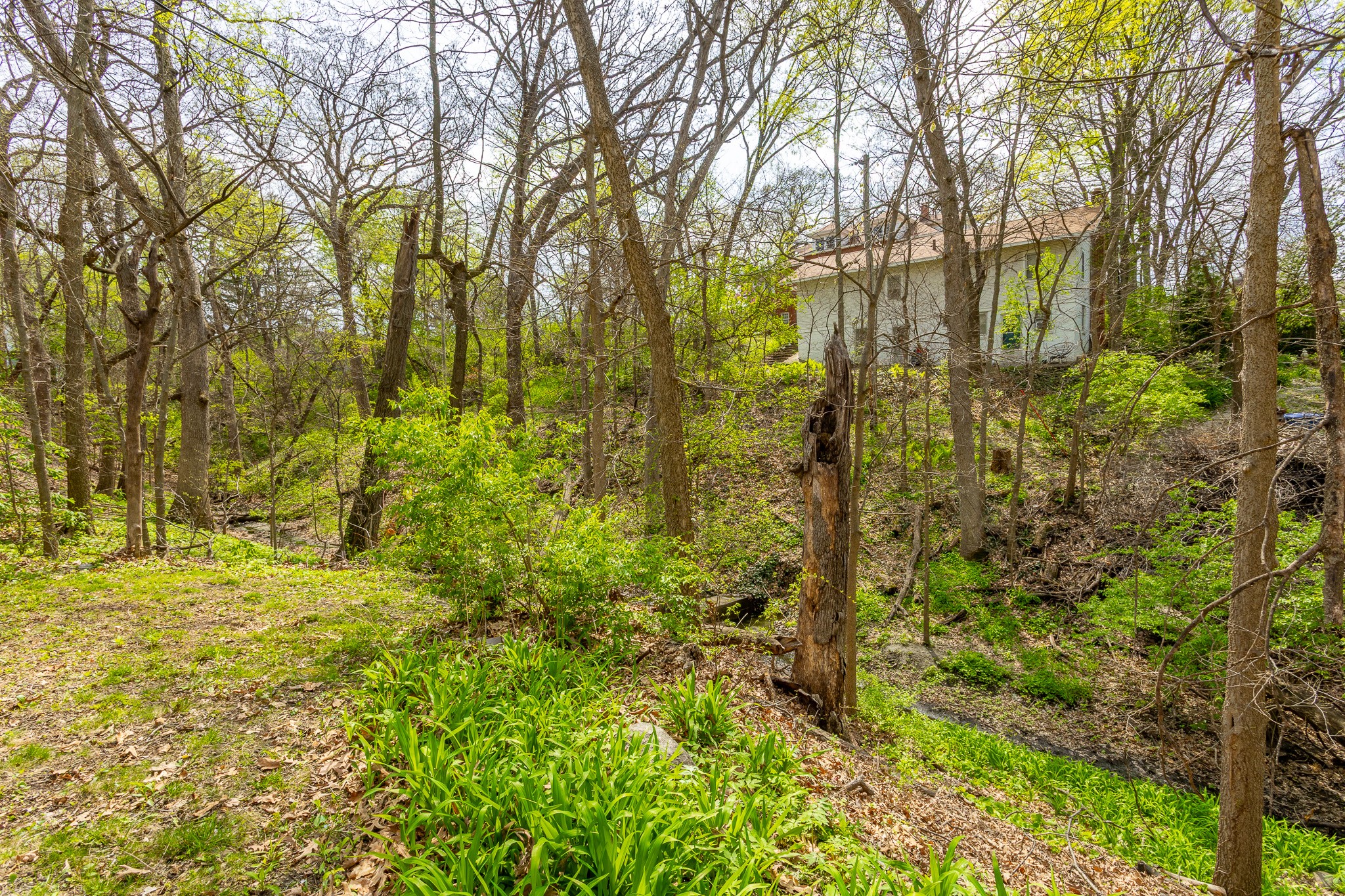 5420 Ingersoll Avenue