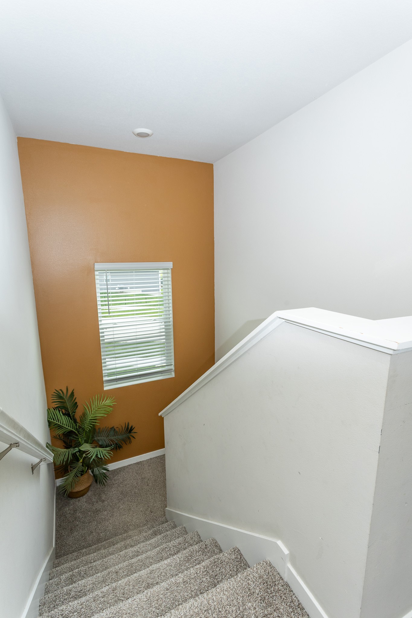 1115 Spruce Street
