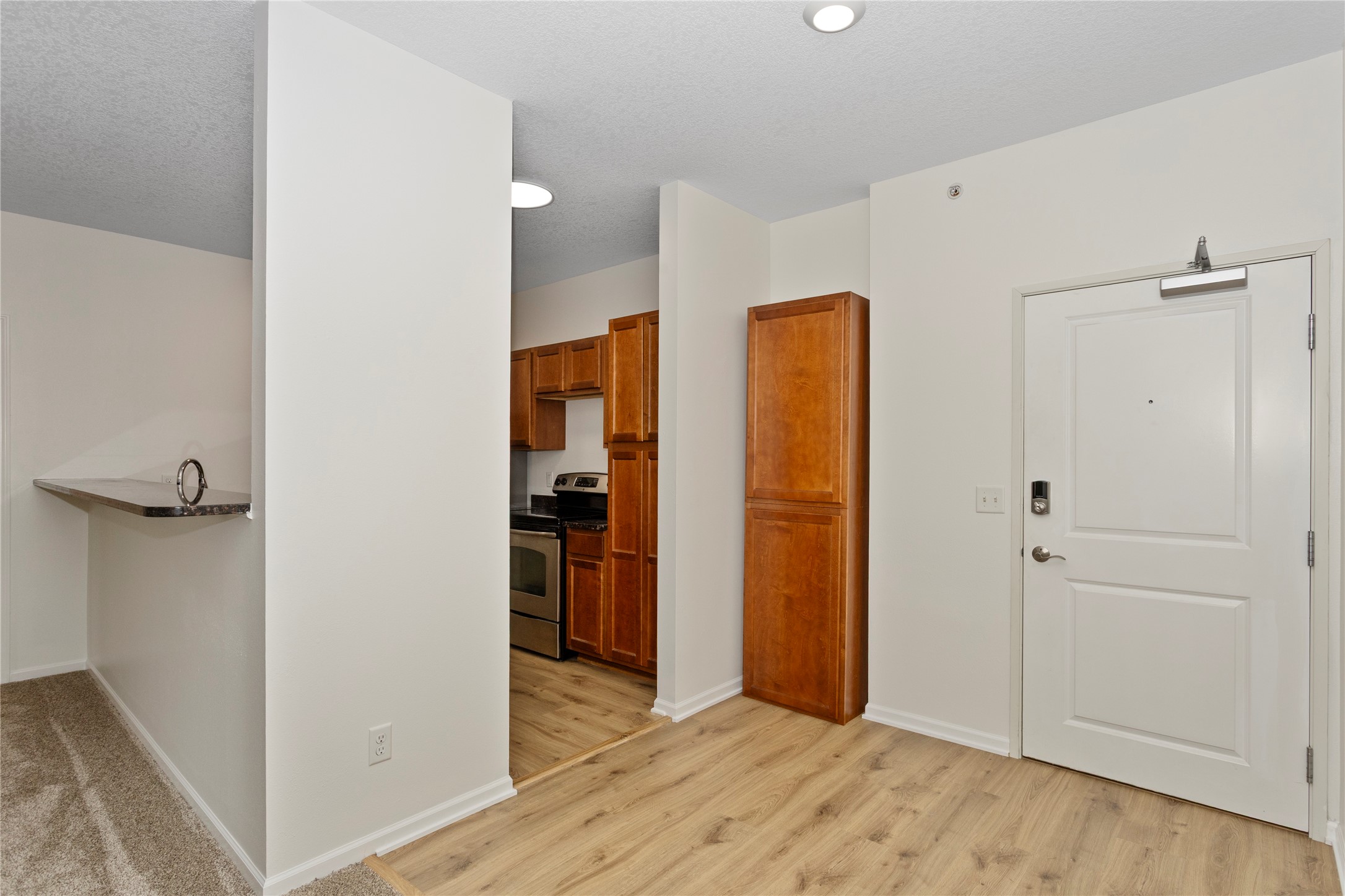 6350 Coachlight Drive 3204