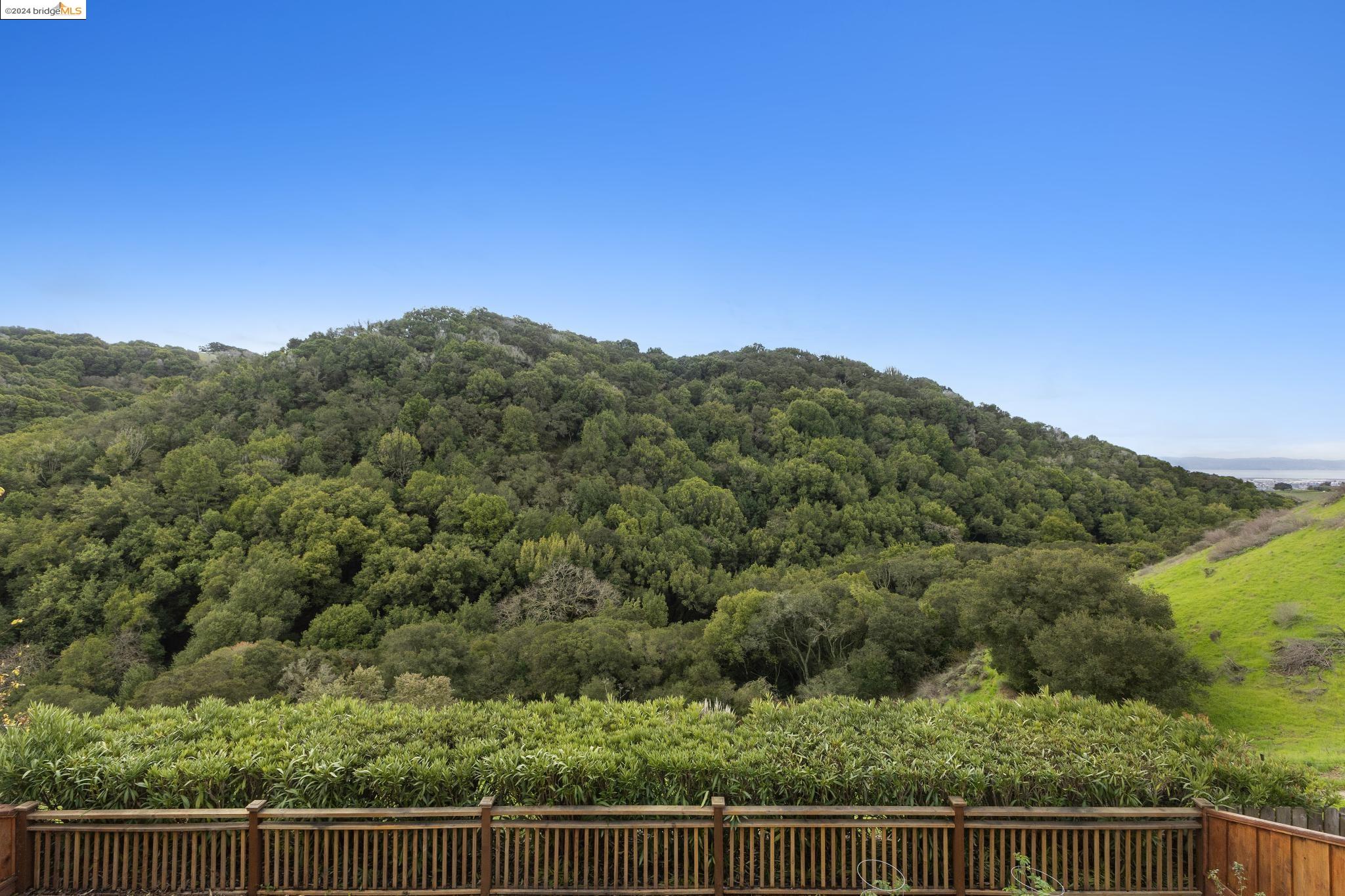 28049 Ziele Creek Dr