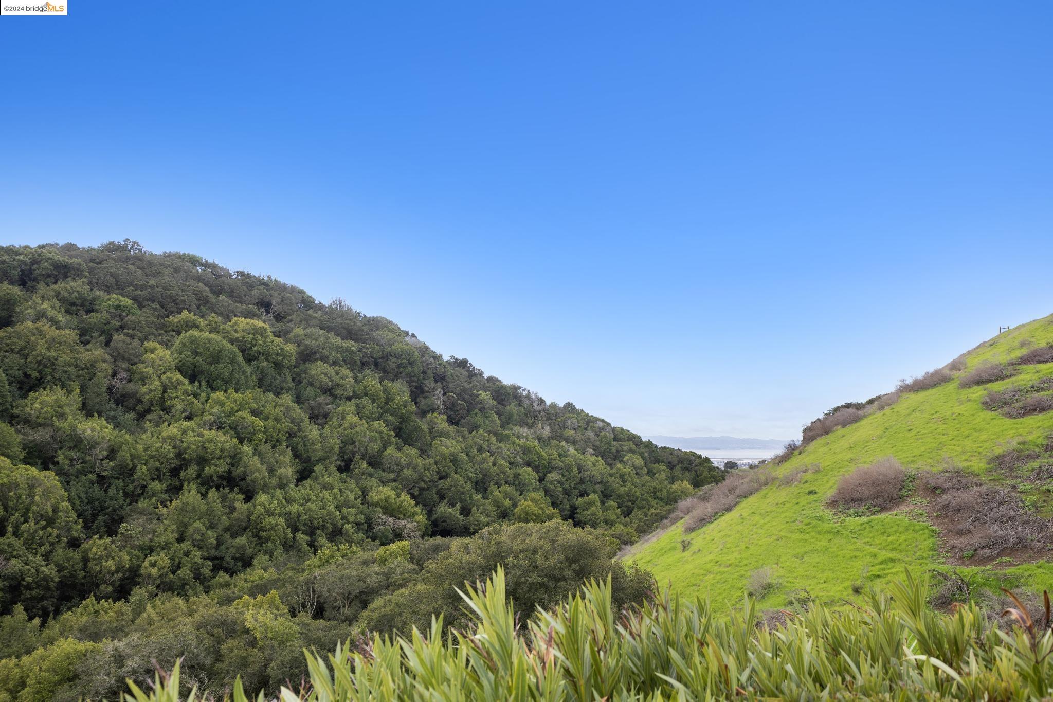 28049 Ziele Creek Dr