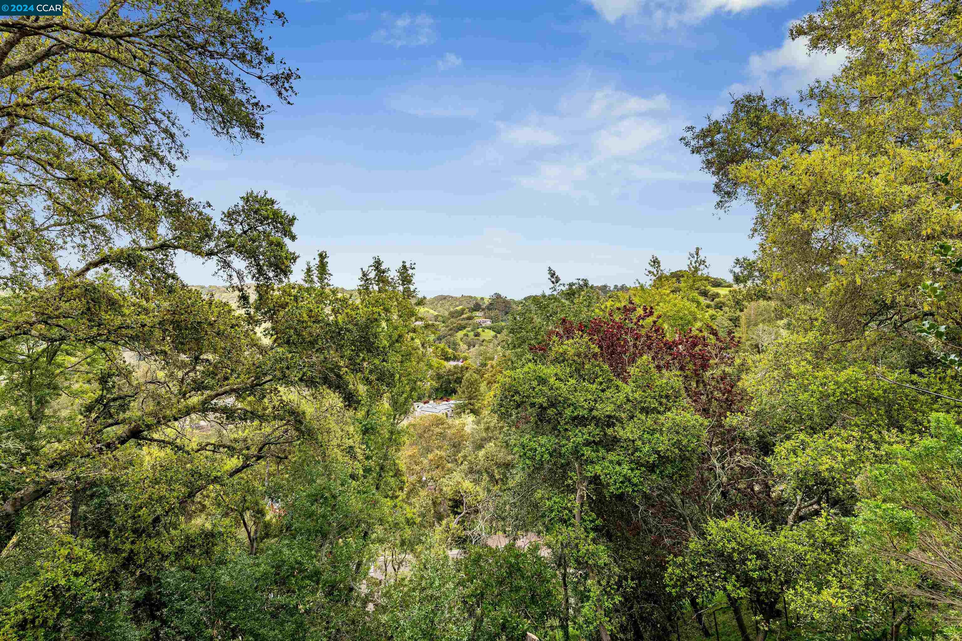 11 Valley View Road
