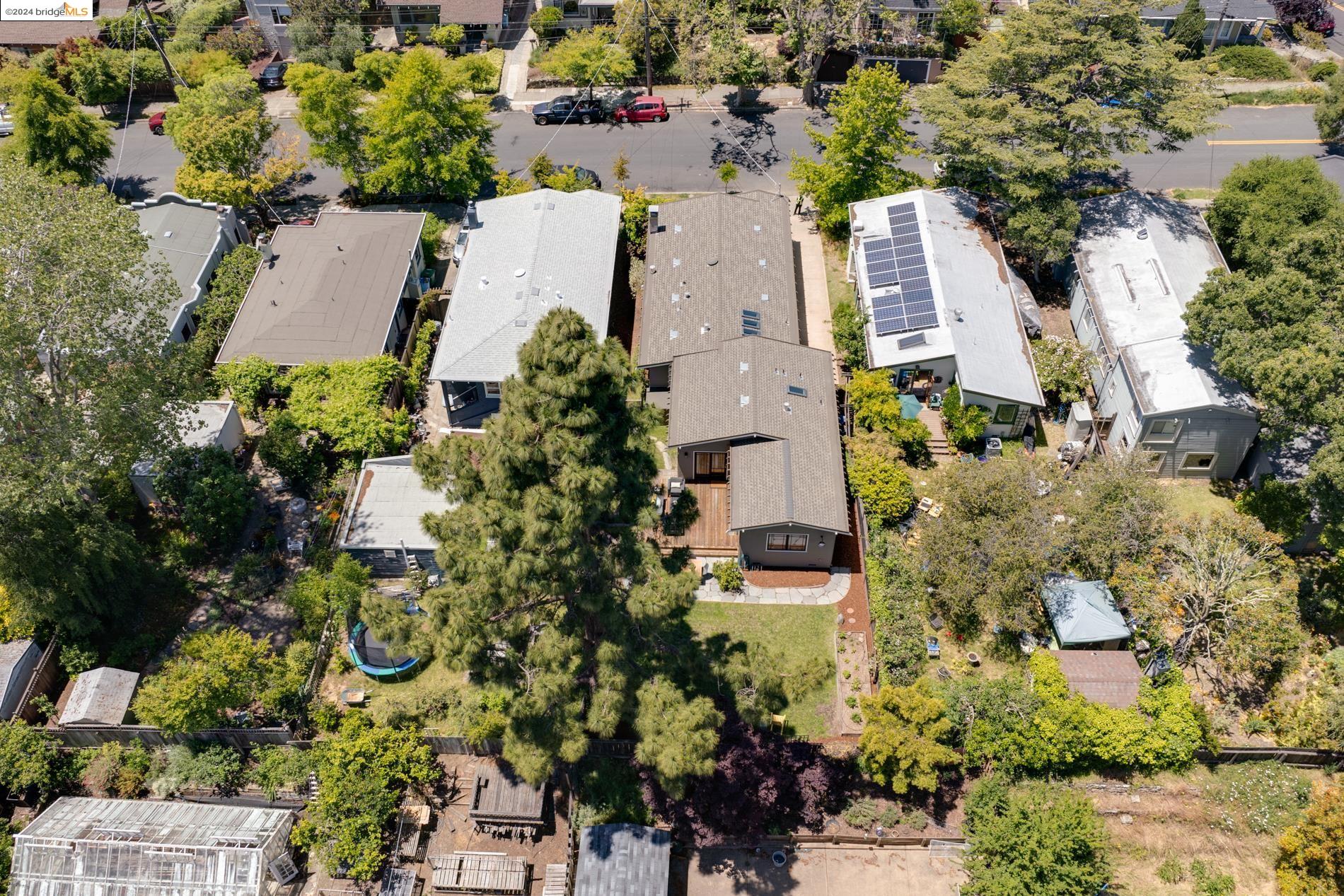 1411 Holly Street