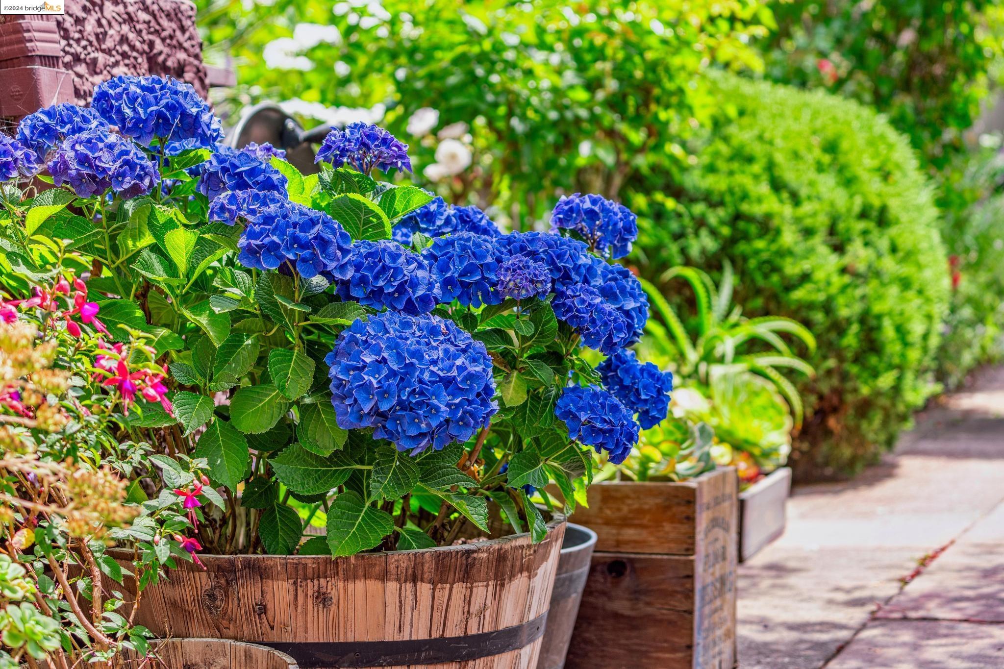 2808 Hillegass Ave # A1