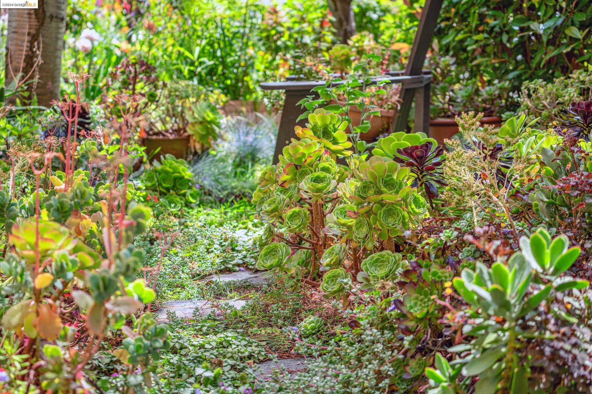 2808 Hillegass Ave # A1