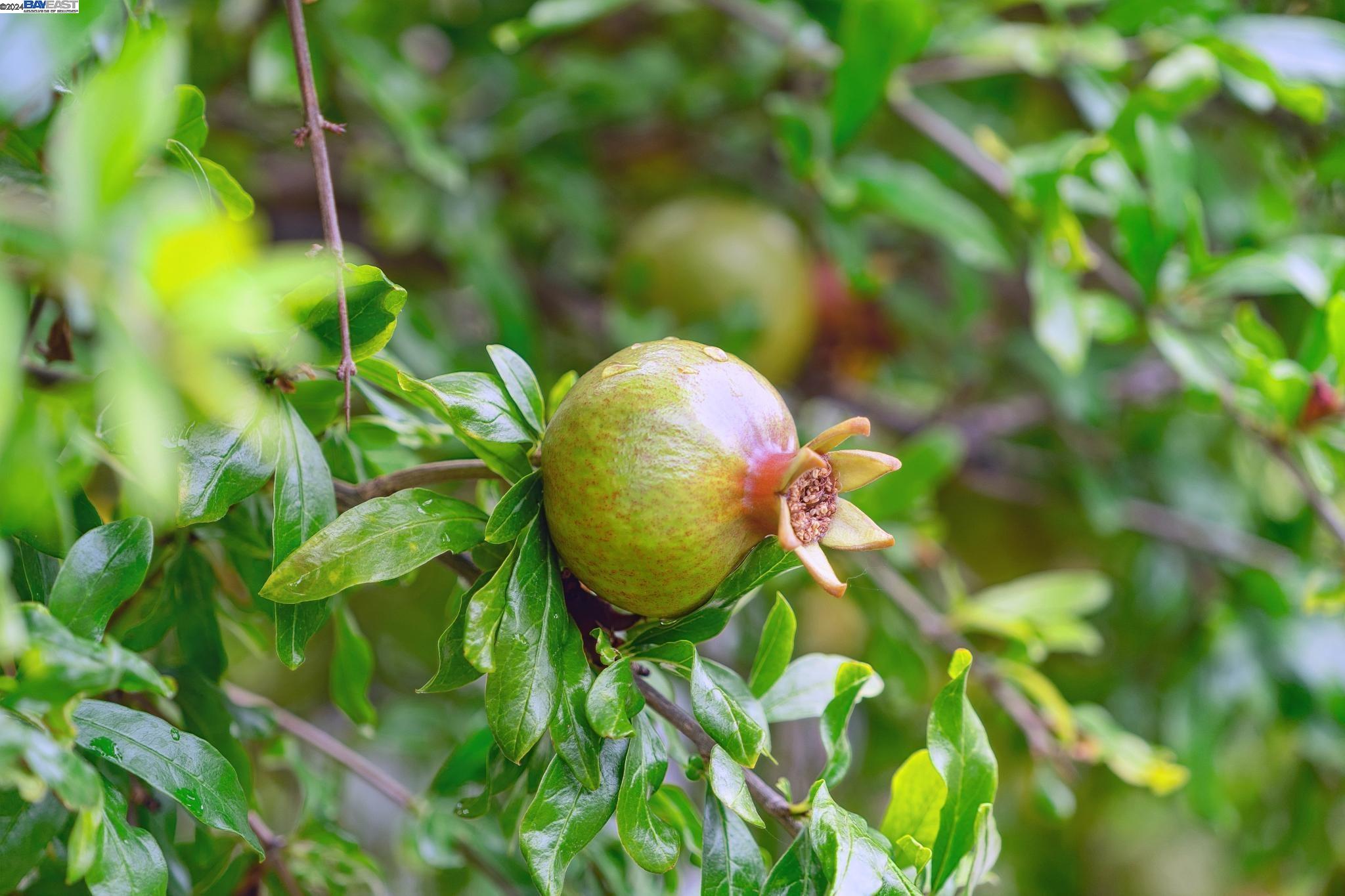 3009 HUMBOLDT AVENUE