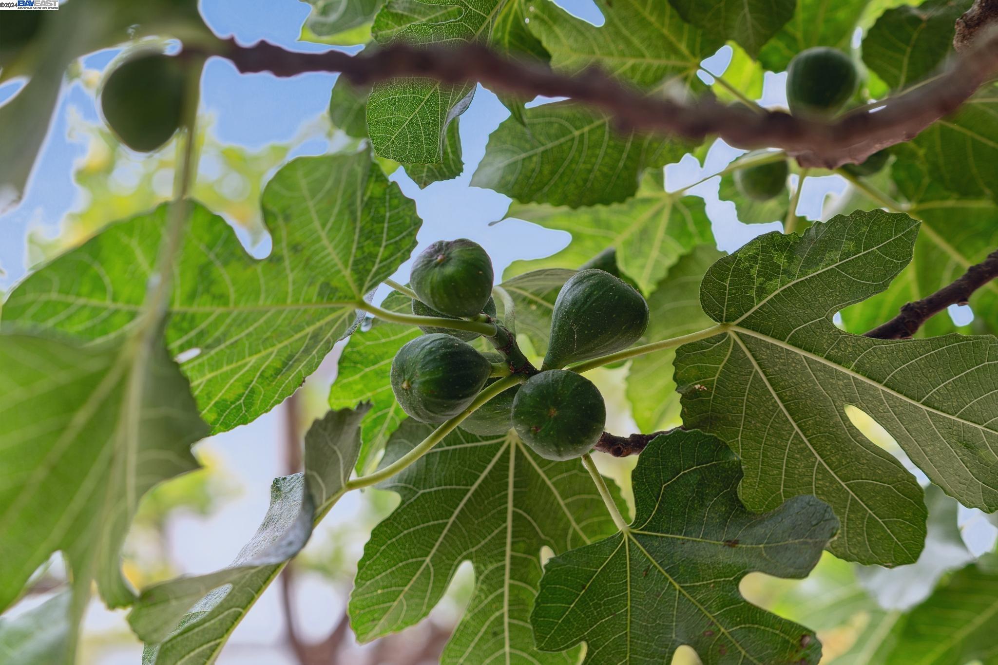 3009 HUMBOLDT AVENUE