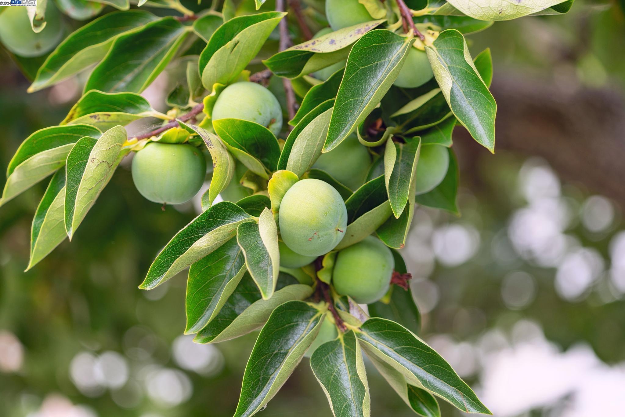 3009 HUMBOLDT AVENUE