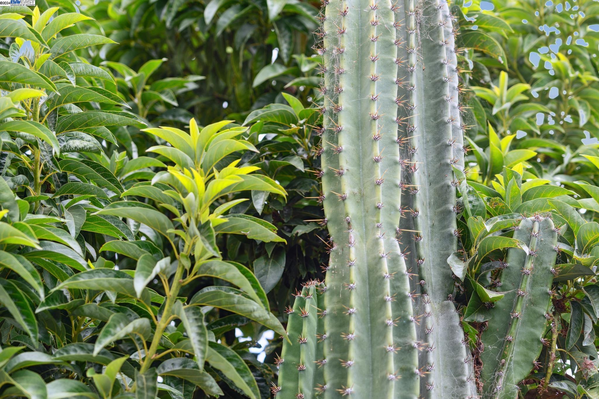 3009 HUMBOLDT AVENUE