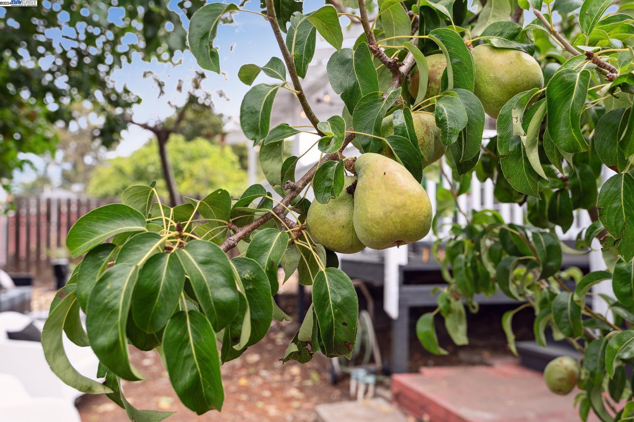 3009 HUMBOLDT AVENUE