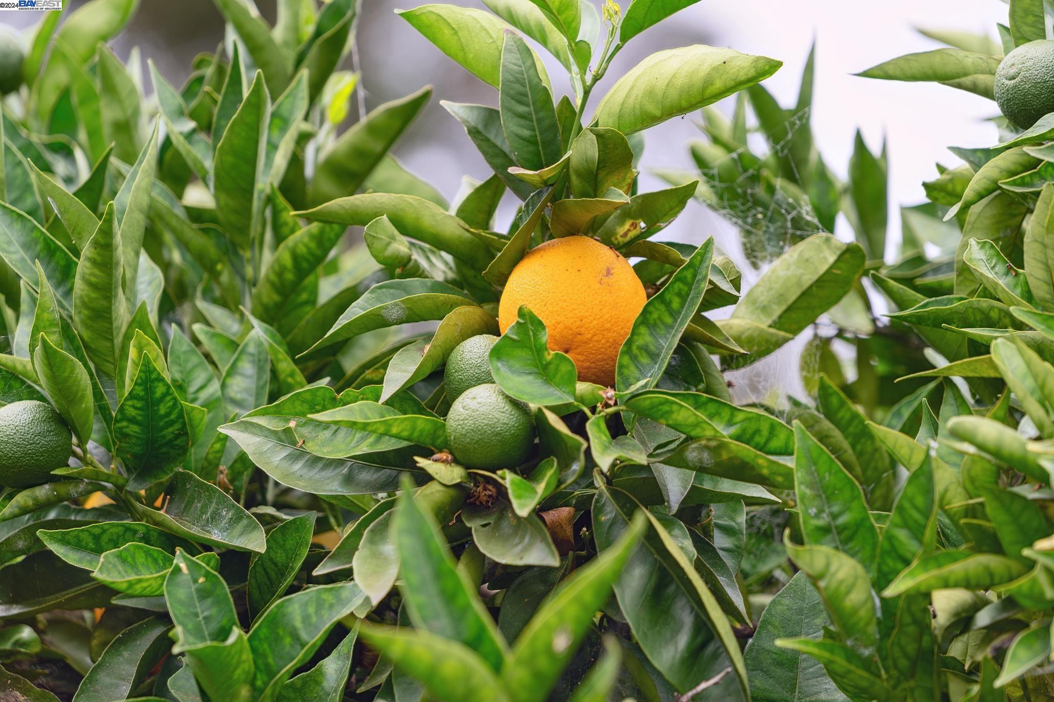 3009 HUMBOLDT AVENUE