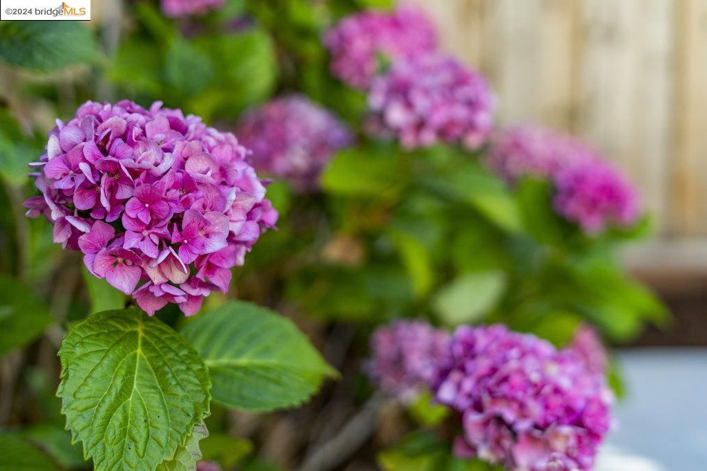 129 San Carlos Avenue