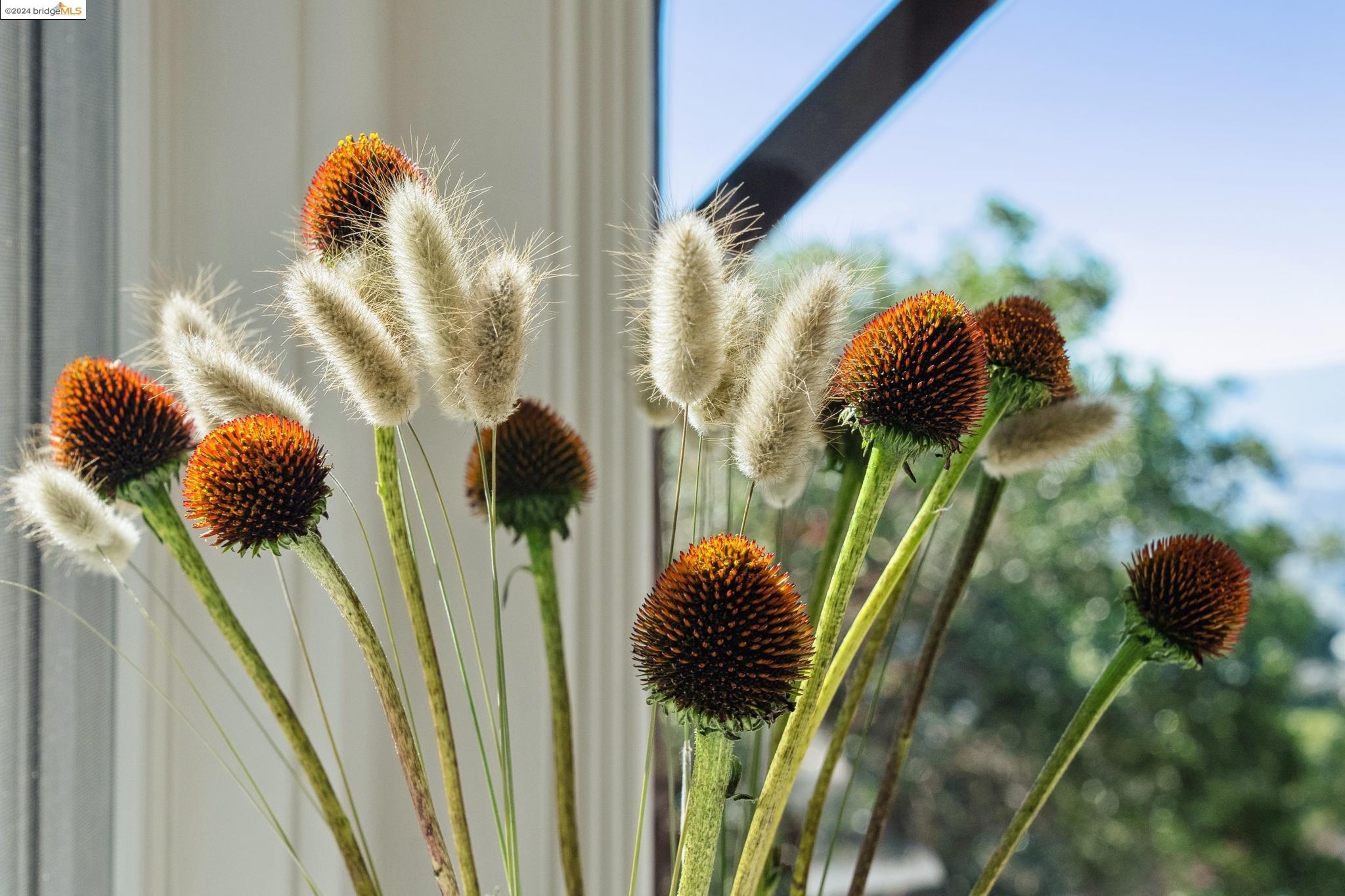 1305 Contra Costa Dr