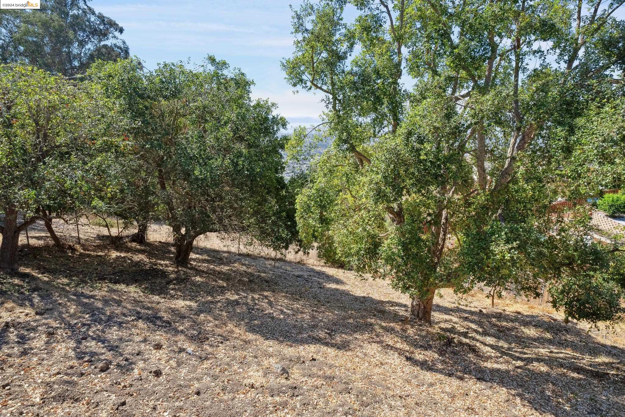 1305 Contra Costa Dr