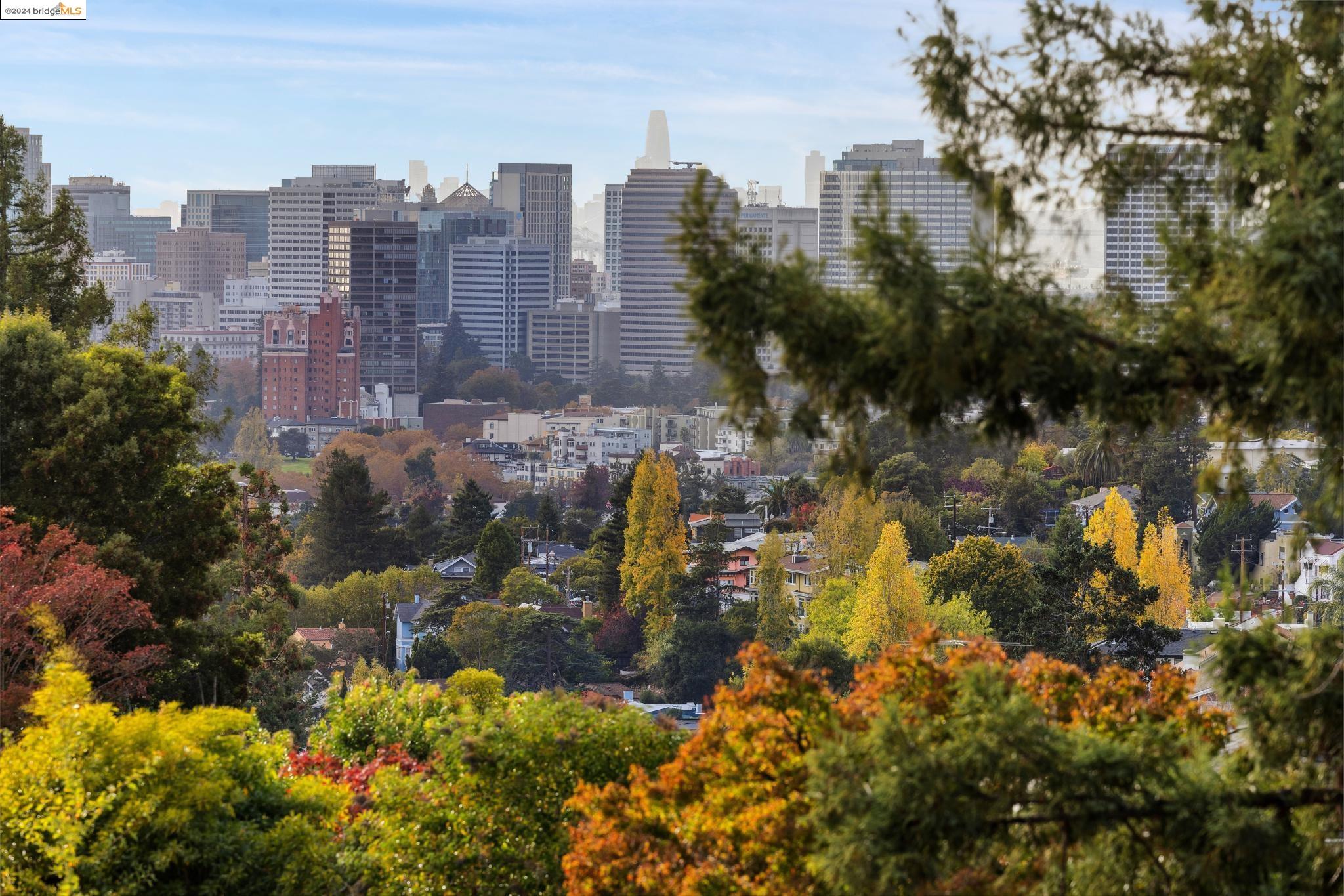 1106 Clarendon Cres.