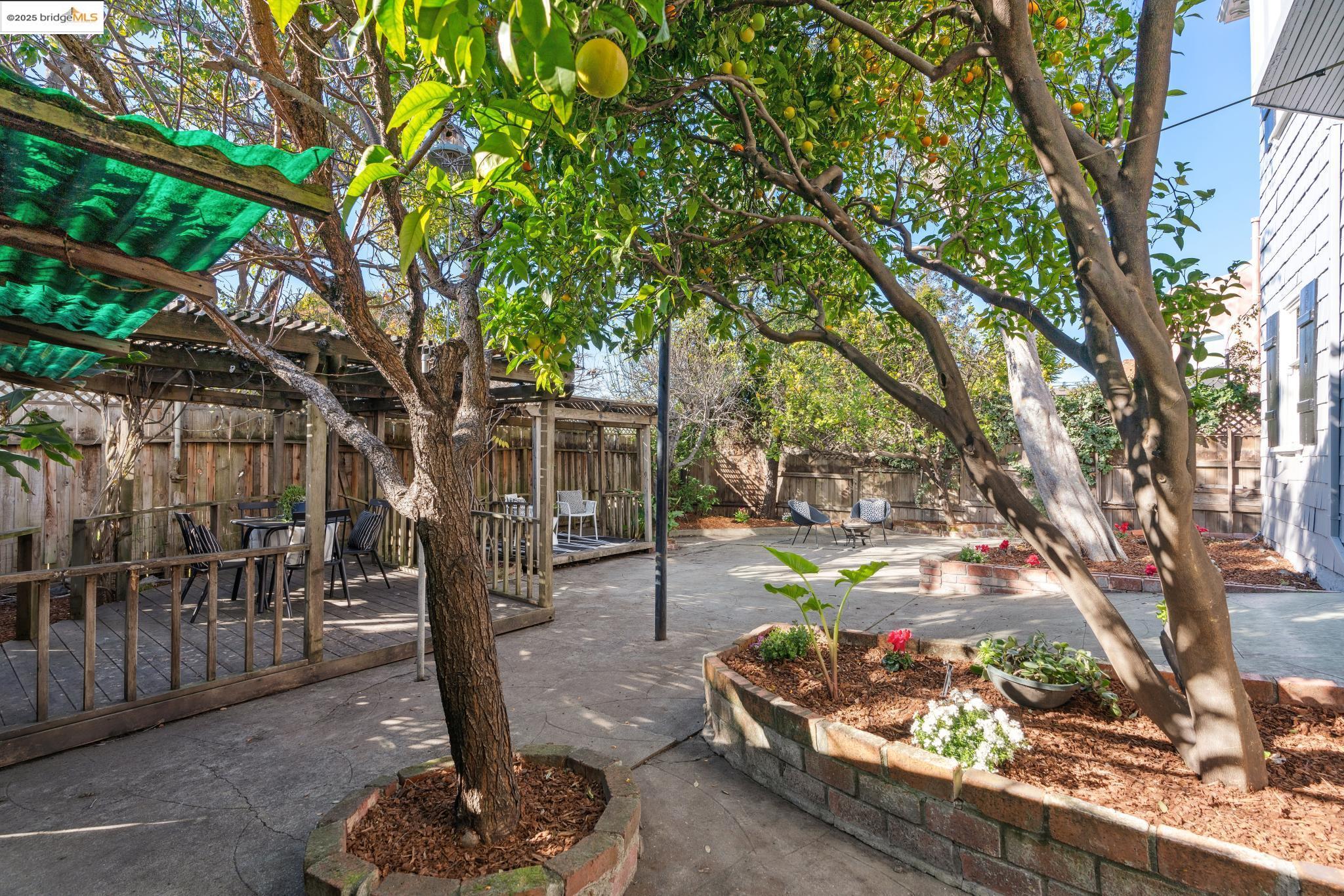 507 Mount St