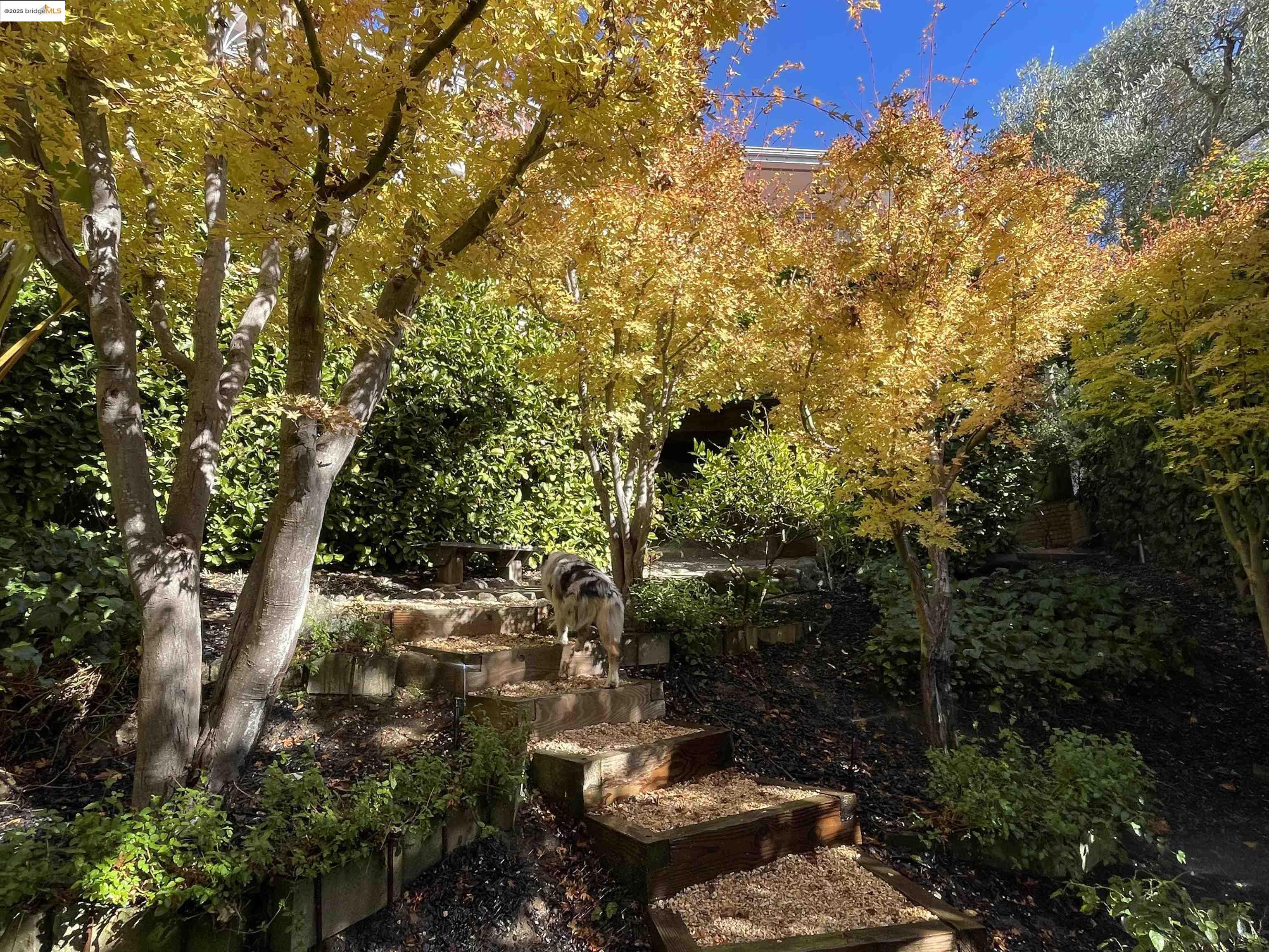 125 Estates Drive