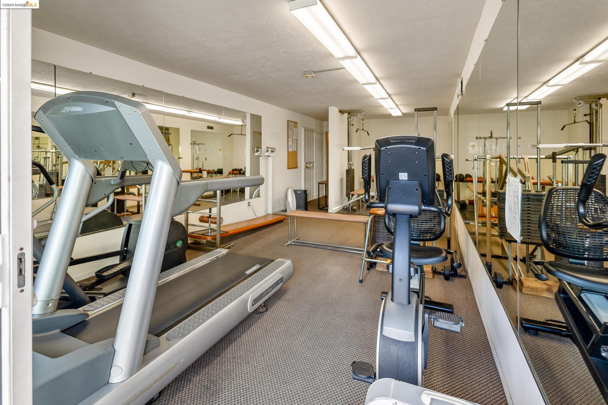 2005 Pleasant Valley # 116