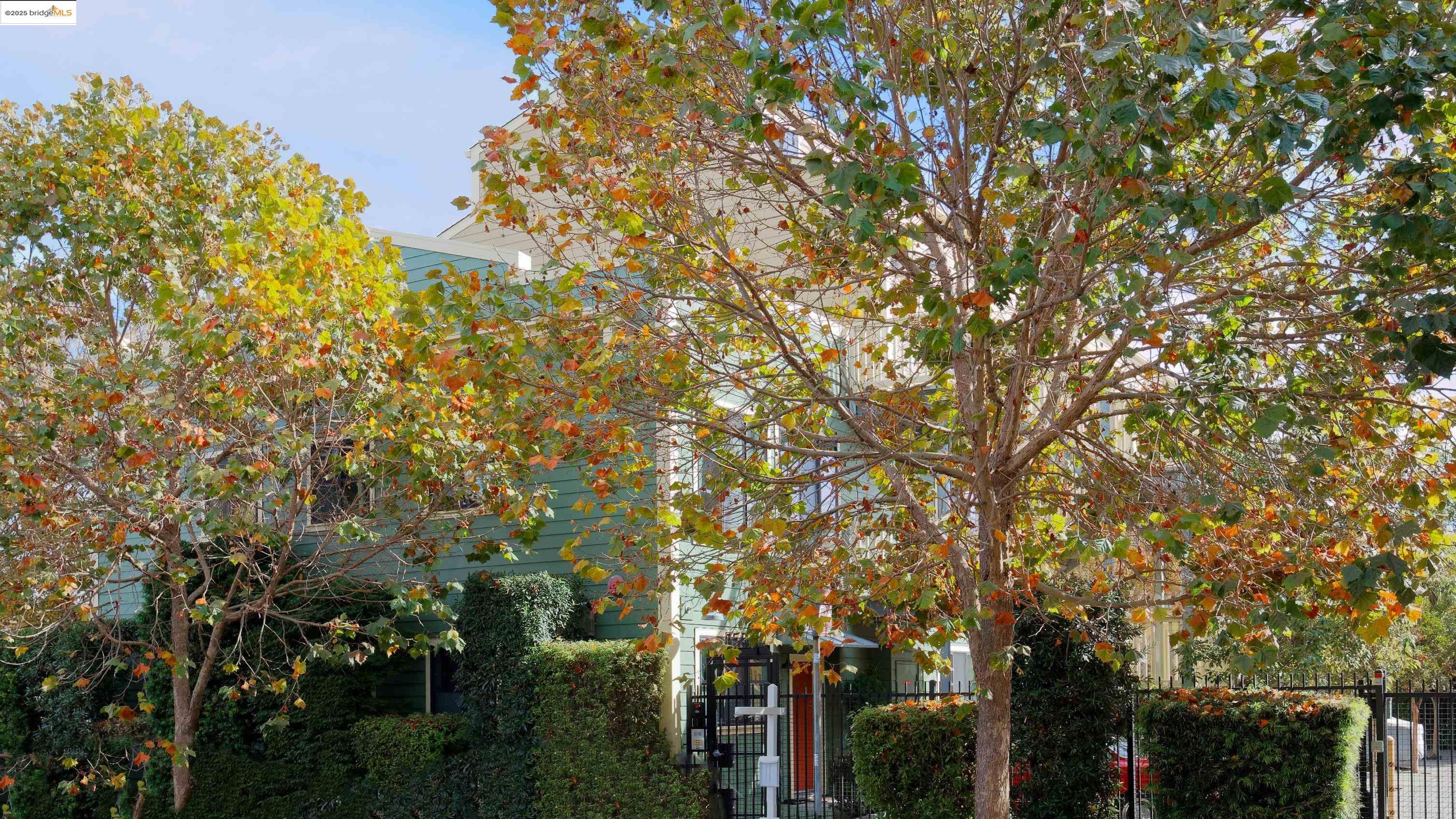 1565 32nd Street # 3