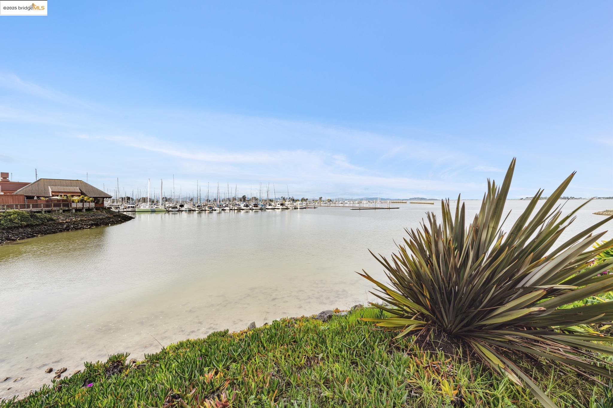 9 Commodore Drive # A404