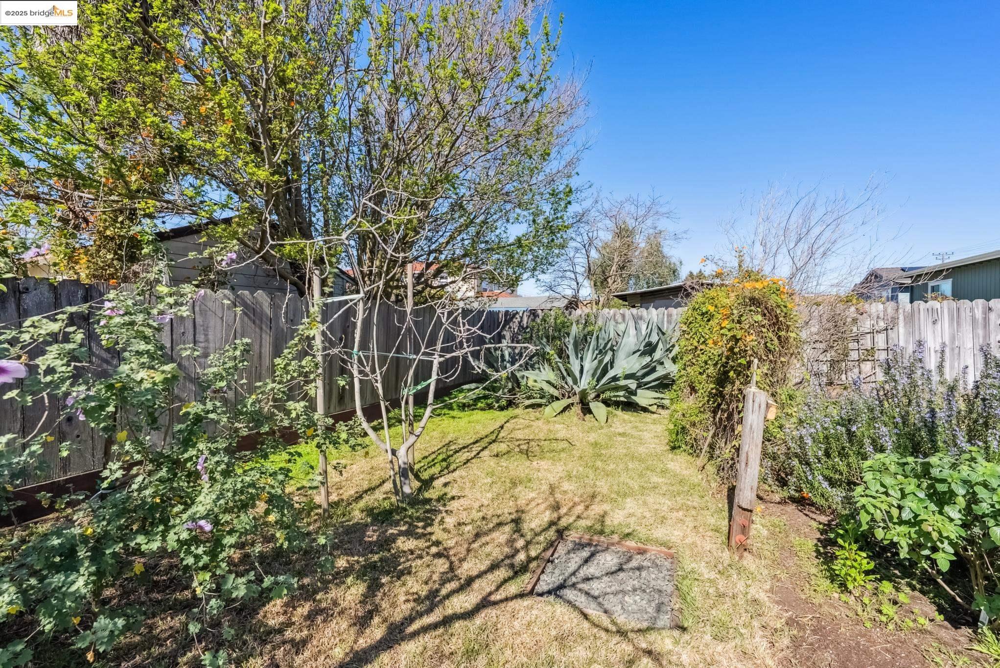 1311 Elm Street
