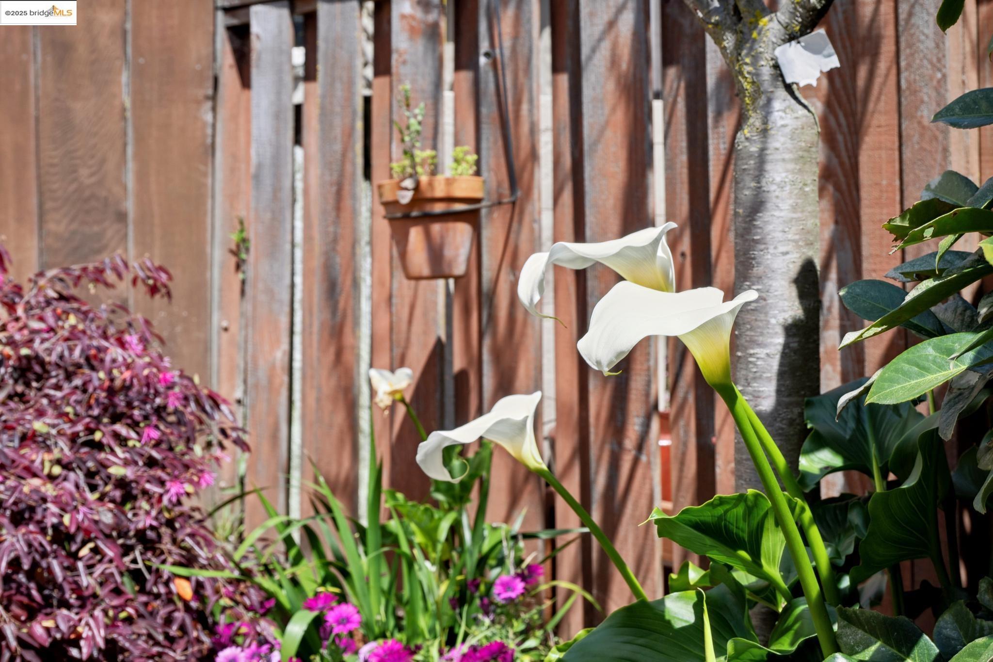 1640 Ocean View Ave.