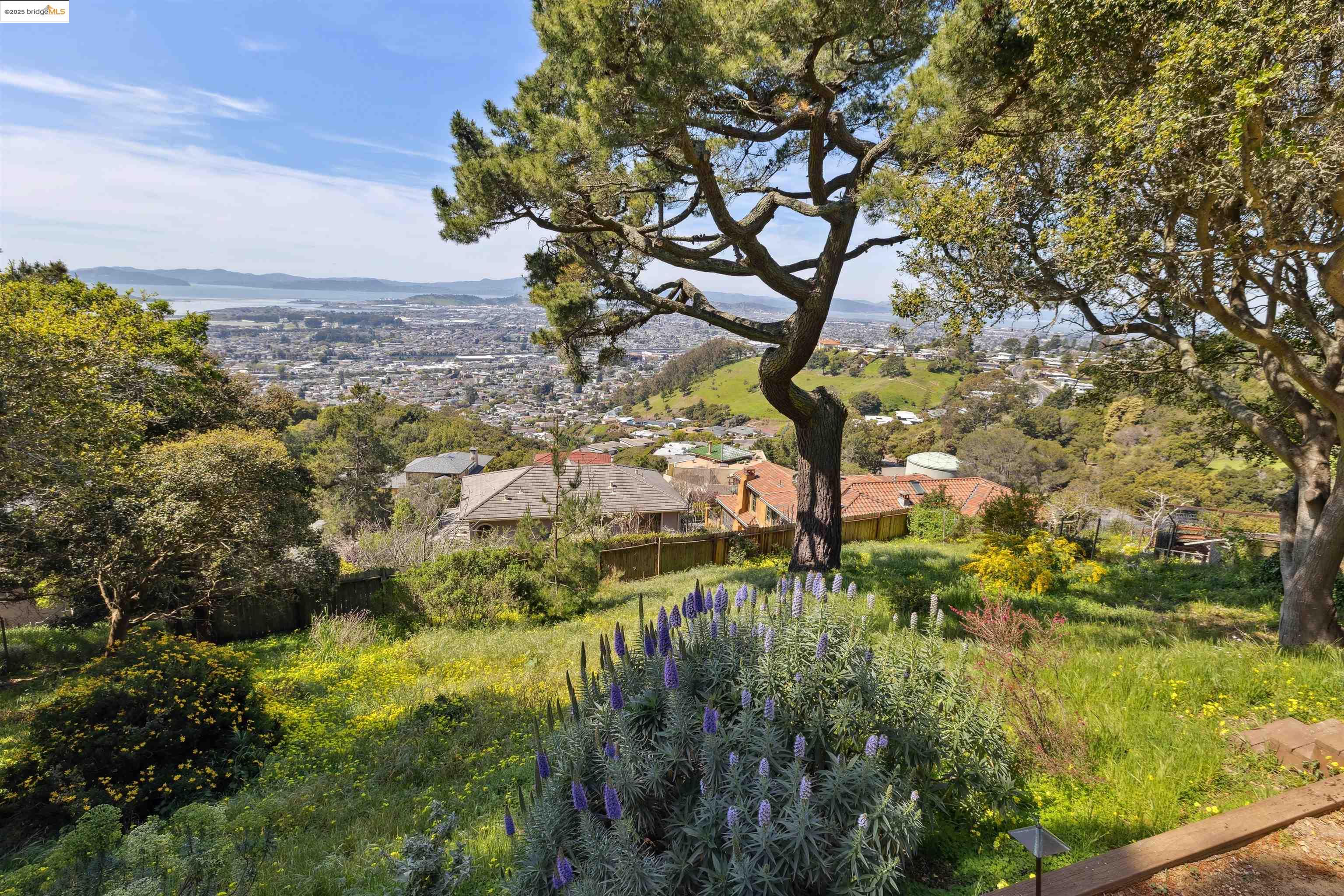 1335 Contra Costa Drive