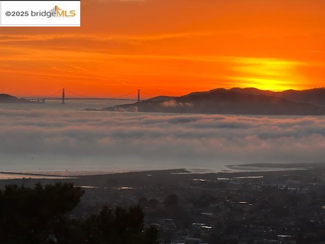 1335 Contra Costa Drive