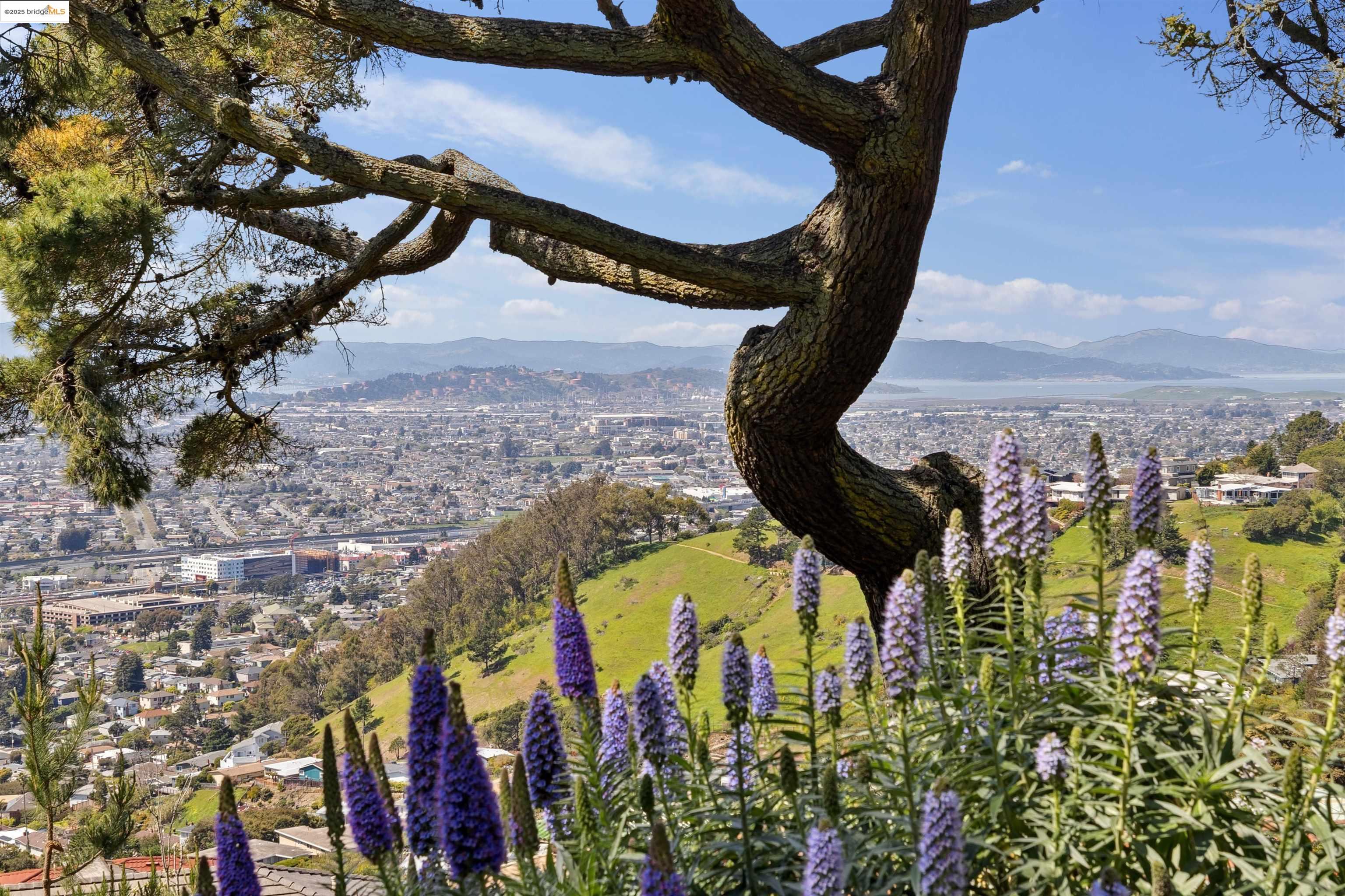 1335 Contra Costa Drive