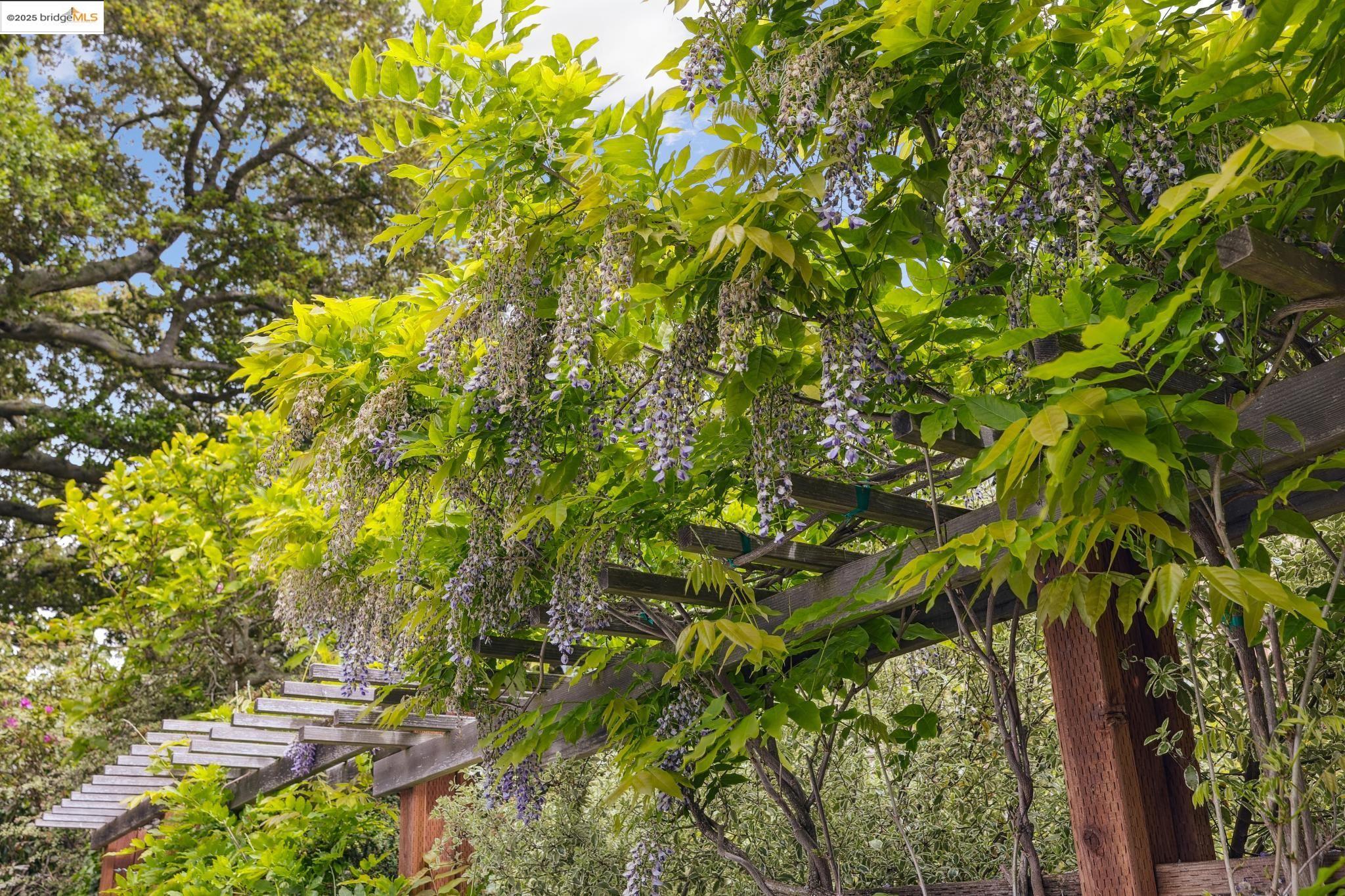 927 Santa Barbara Rd