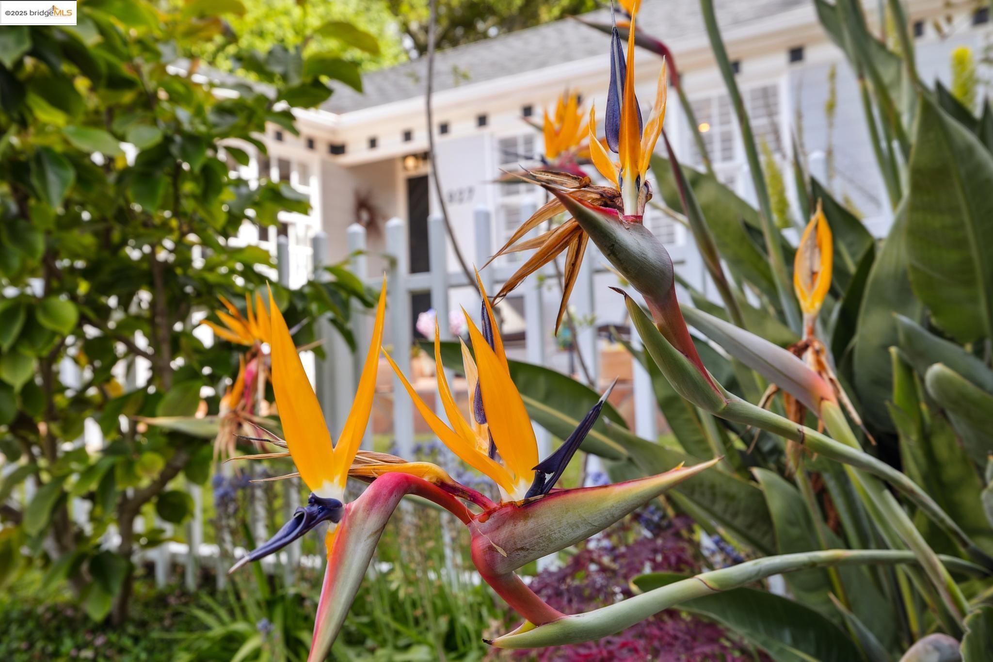 927 Santa Barbara Rd