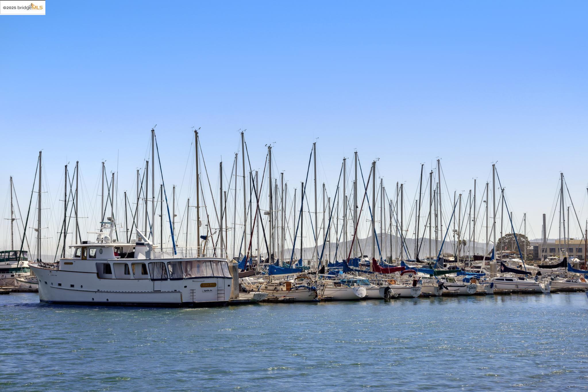 149 Shoreline Ct # 149