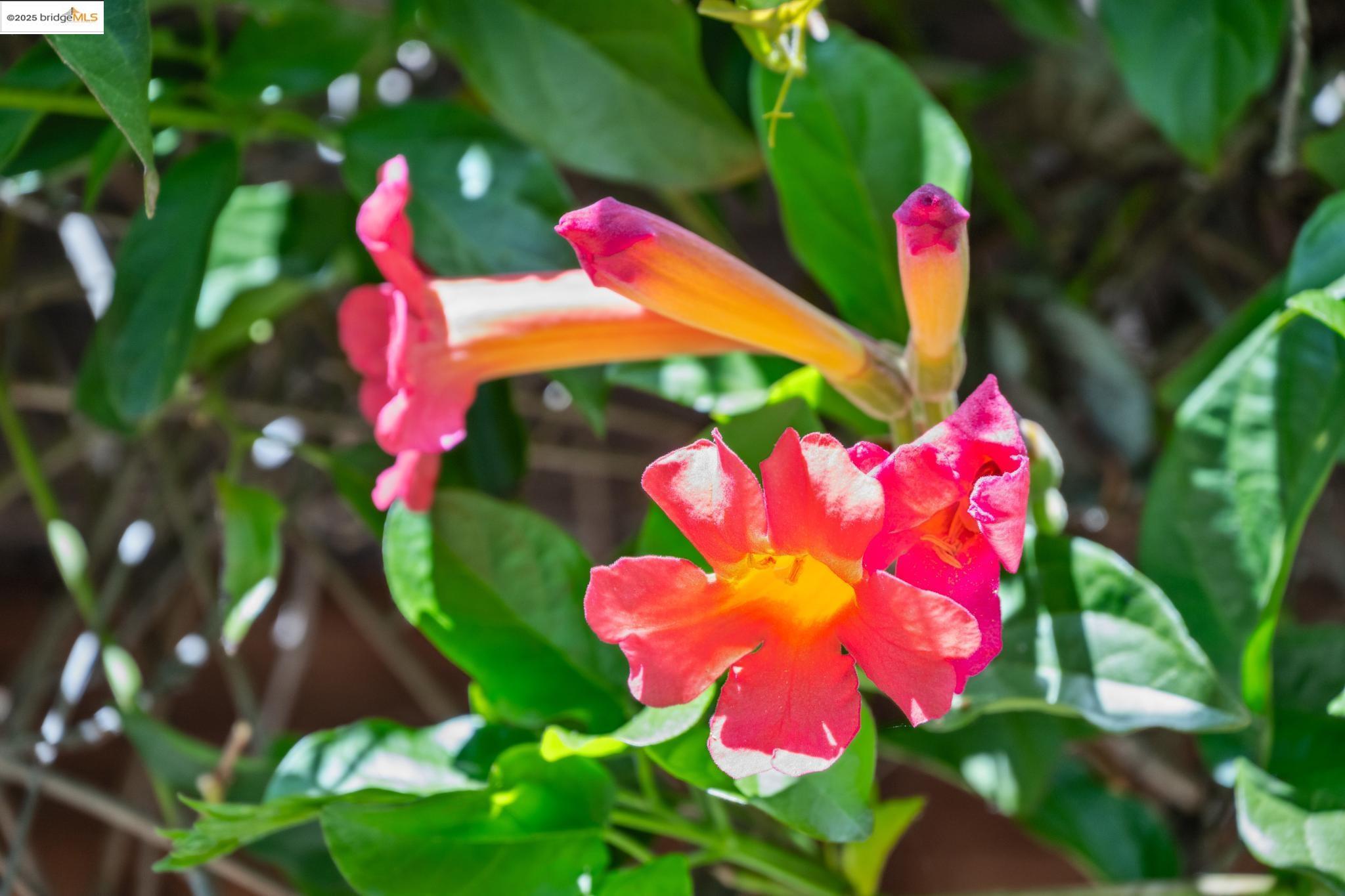 6420 Irwin Ct # 6420