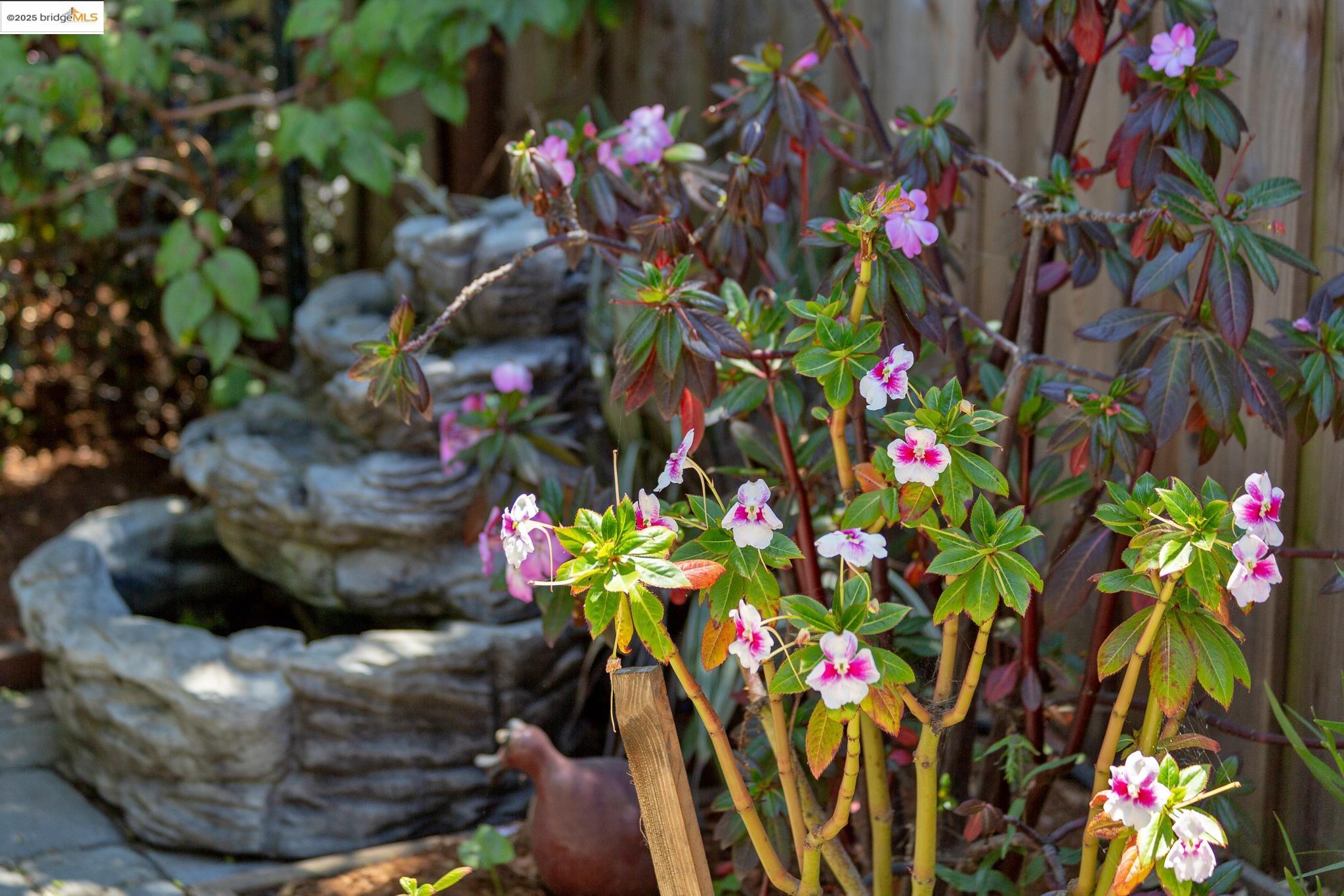 298 Grizzly Peak Blvd