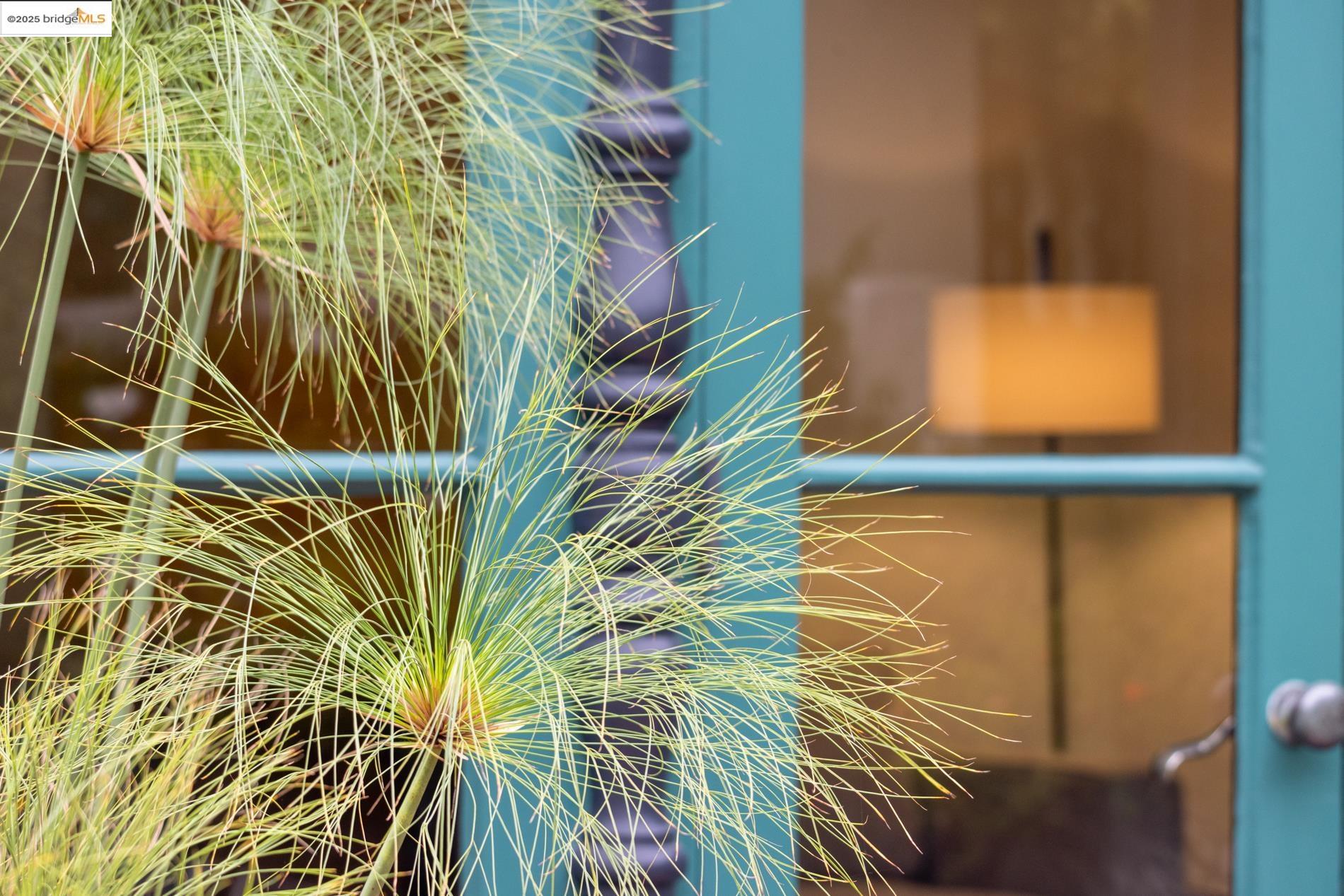 2583 Buena Vista Way