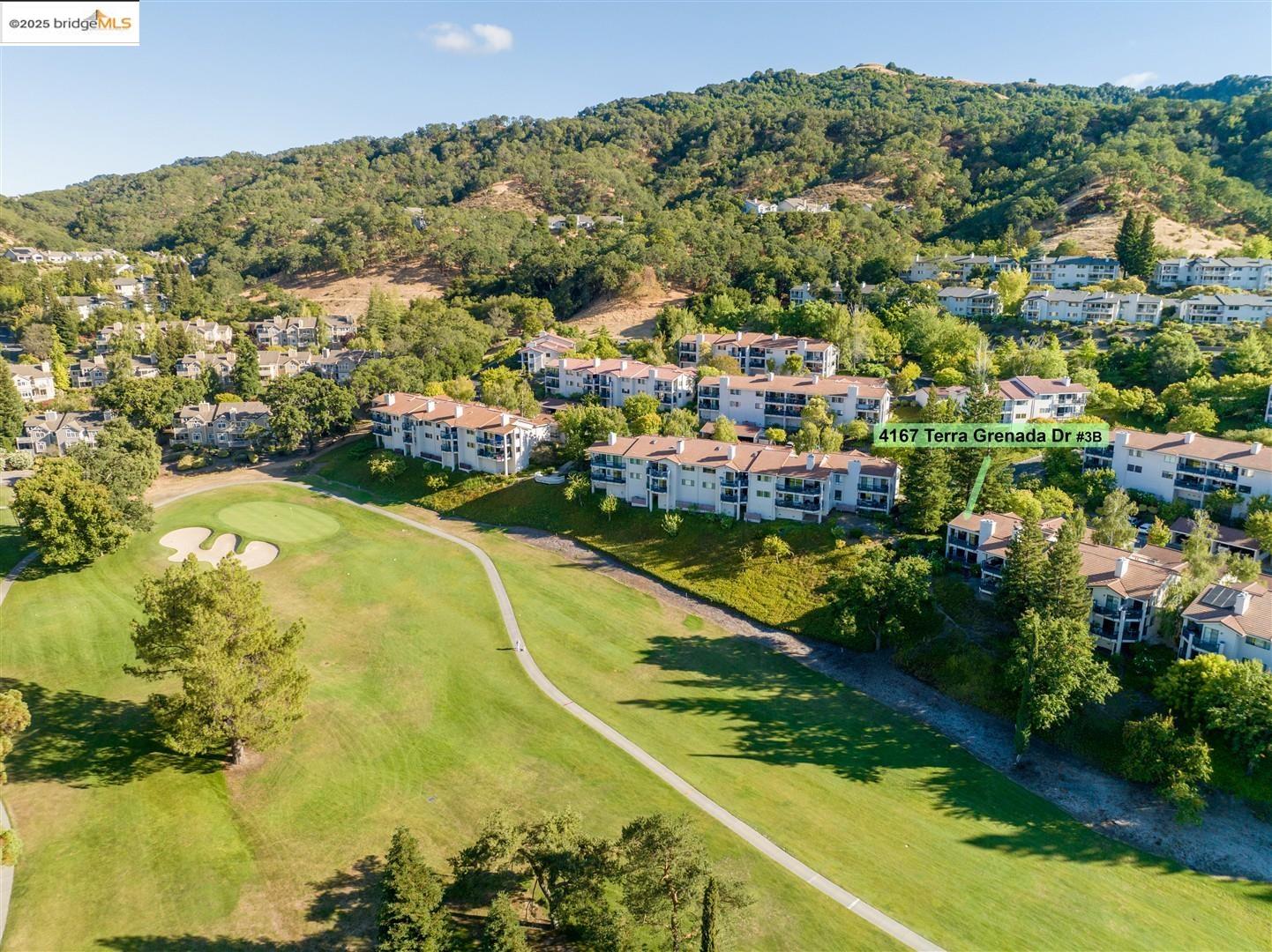 4167 Terra Granada Drive # 3B