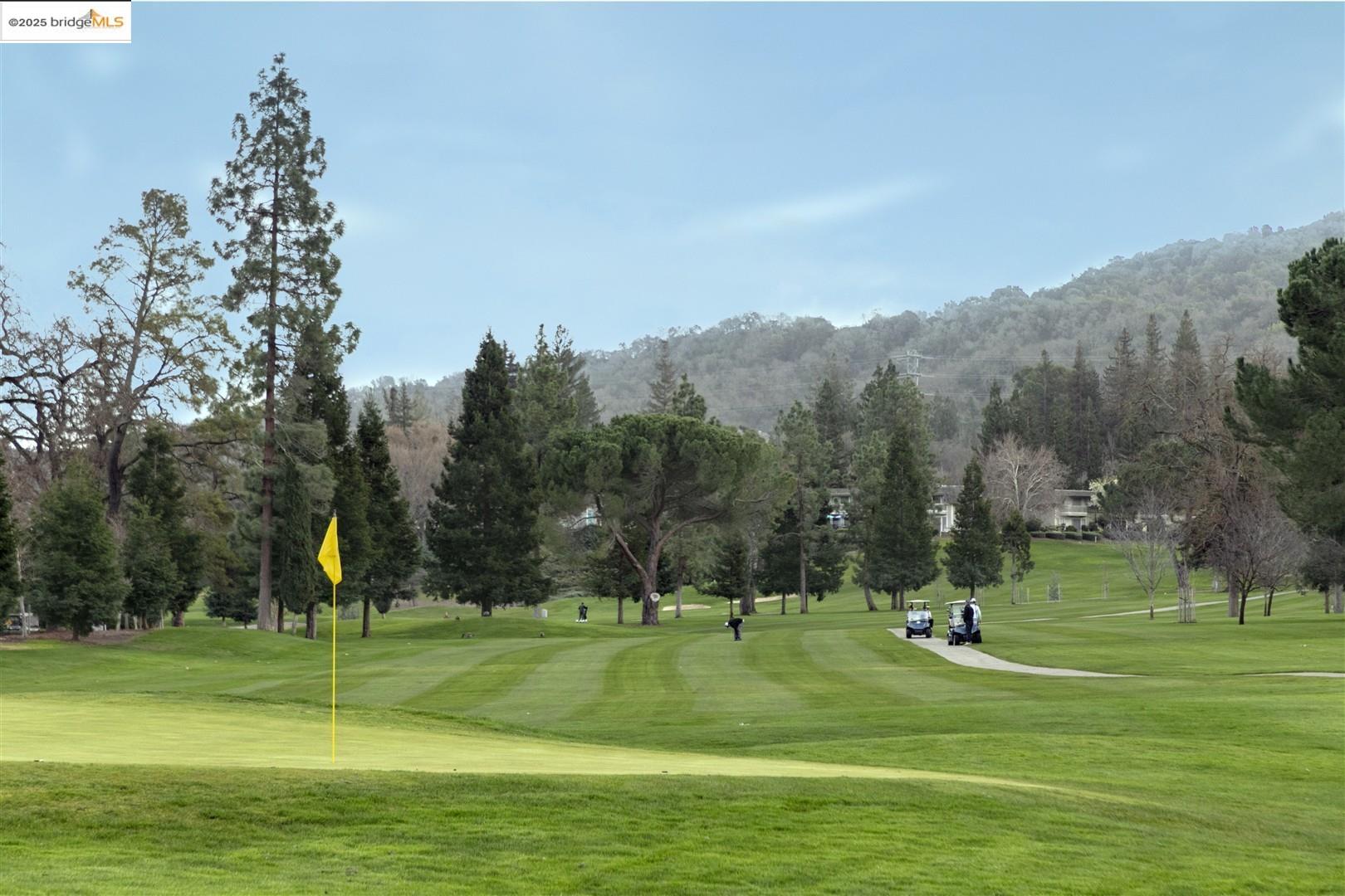 4167 Terra Granada Drive # 3B