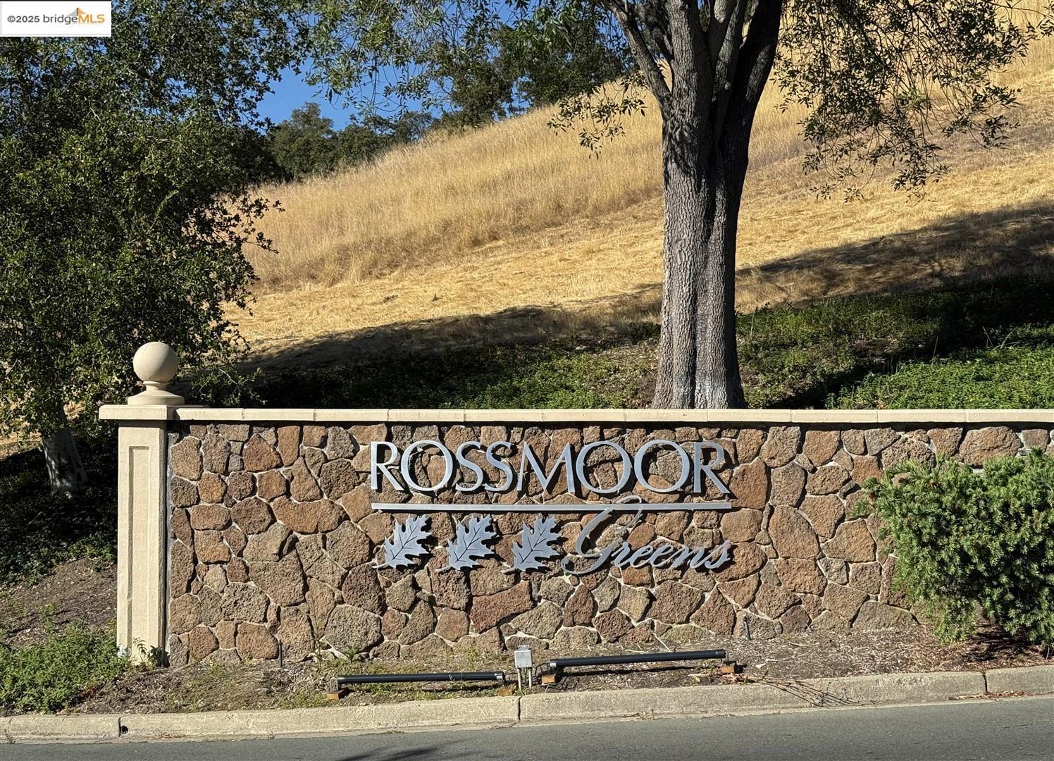 4167 Terra Granada Drive # 3B