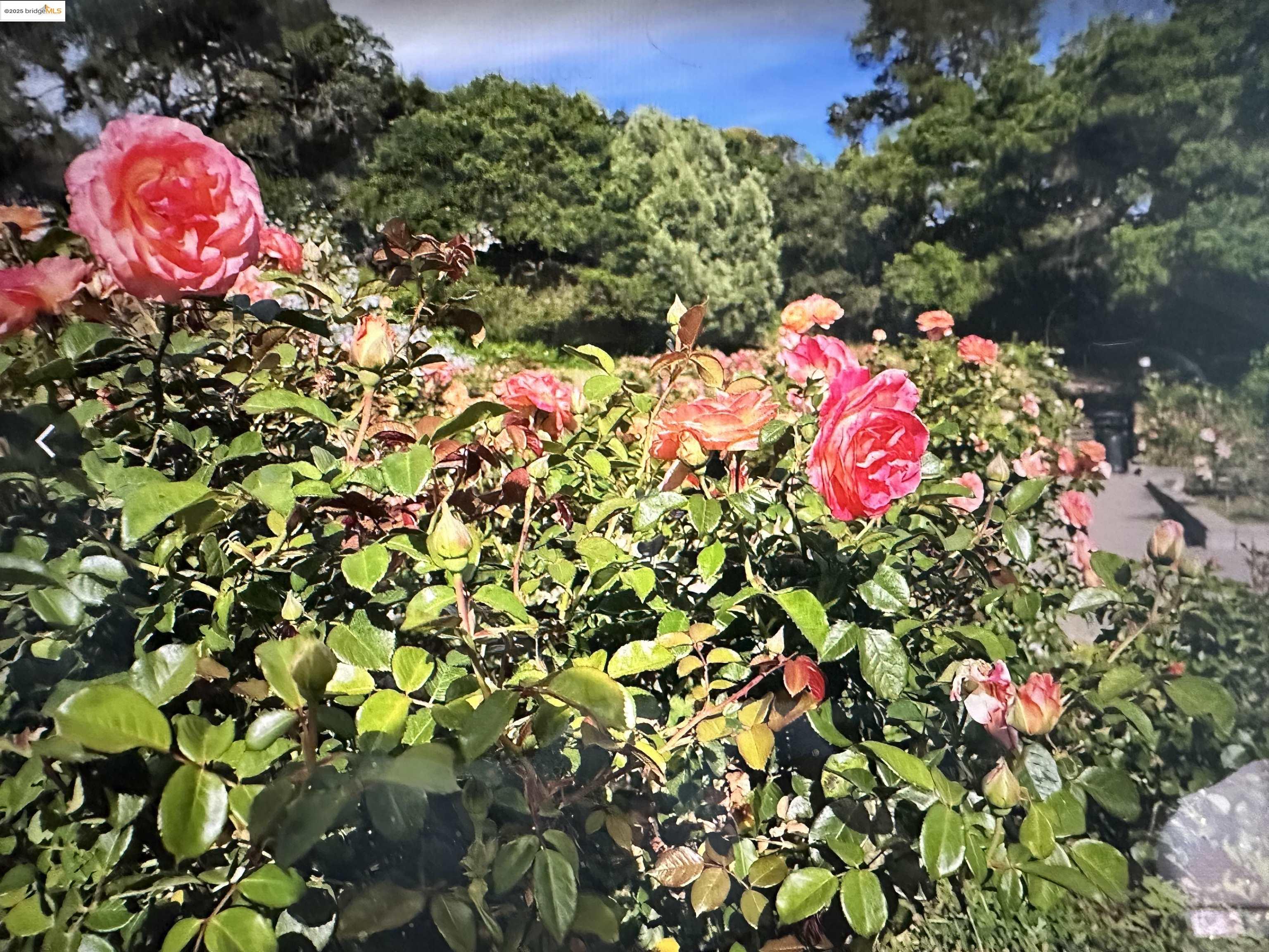 567 Oakland Ave. Unit: 101