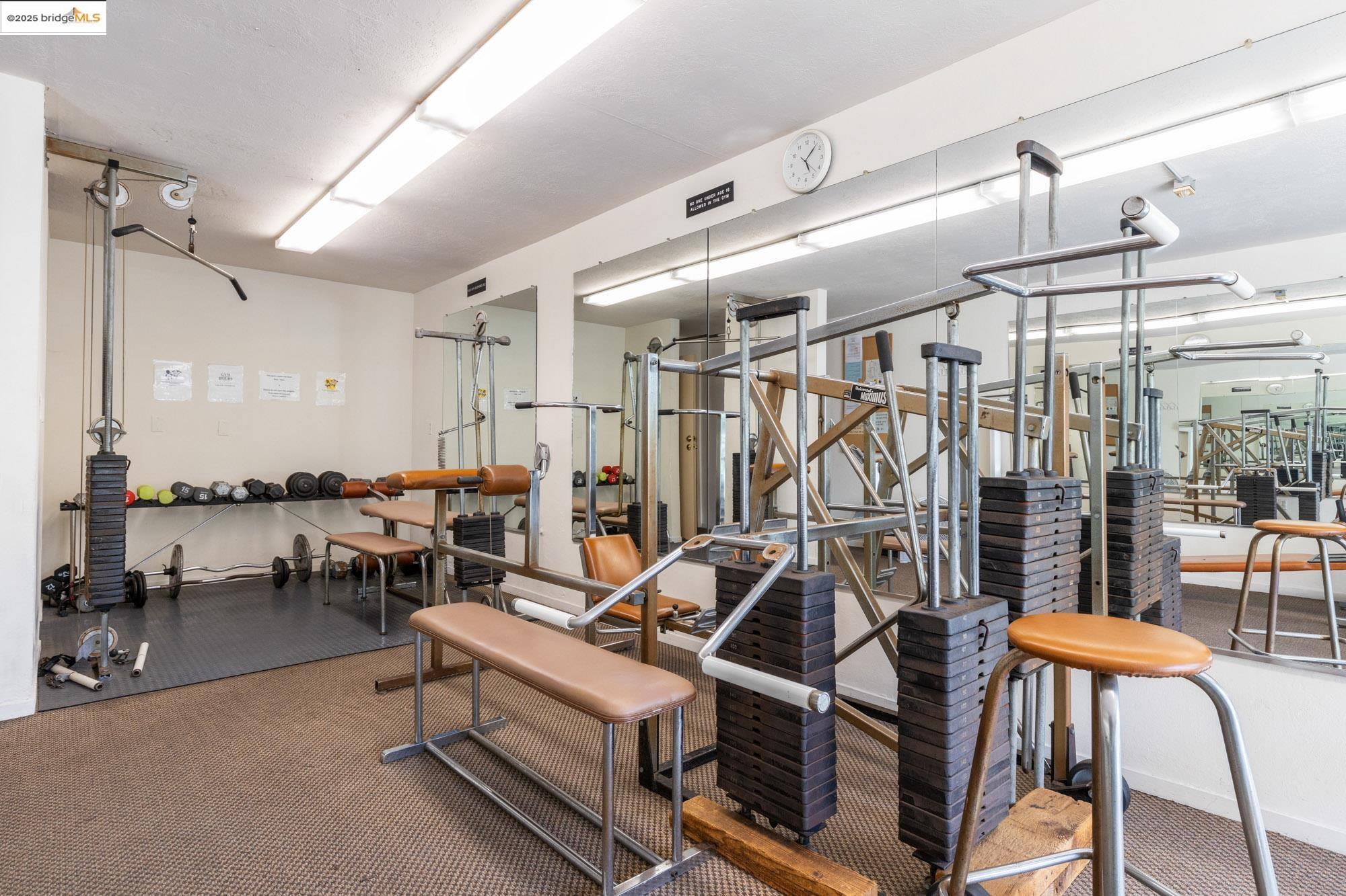 288 Whitmore St # 202