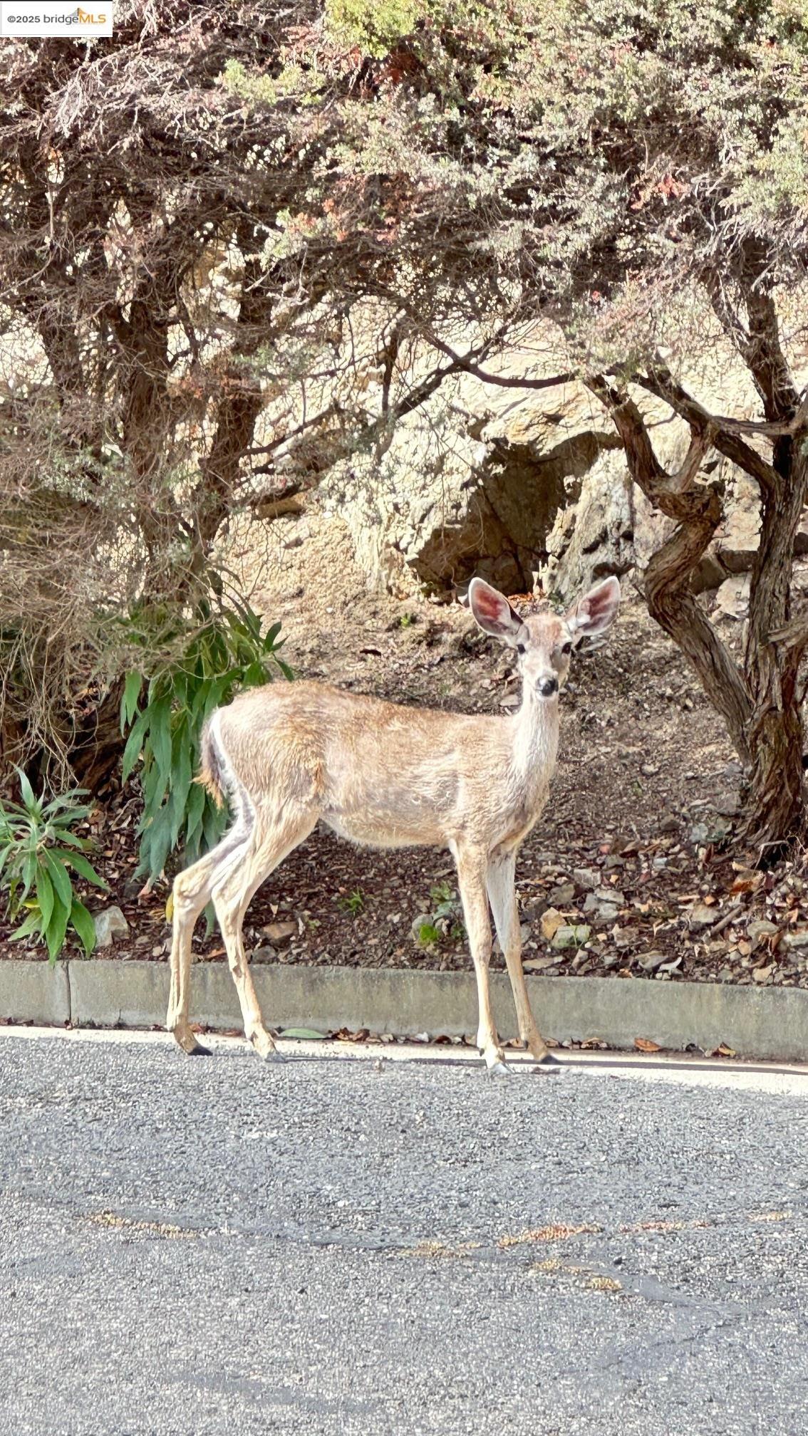 1301 Quarry Ct # 113