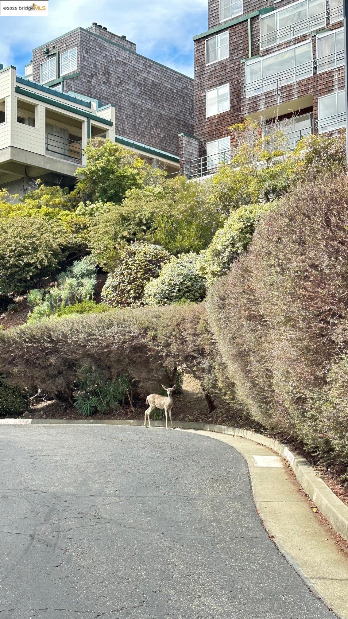 1301 Quarry Ct # 113