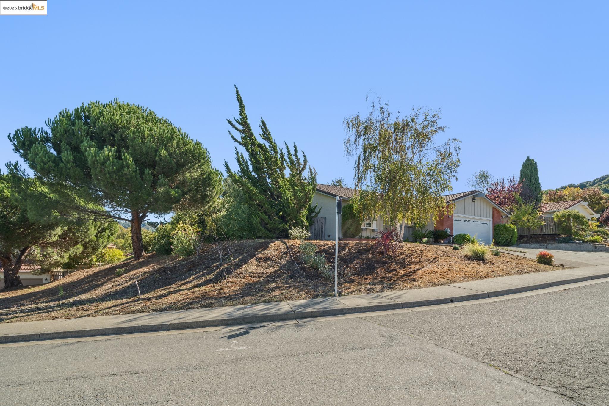 2216 Bristlecone Drive