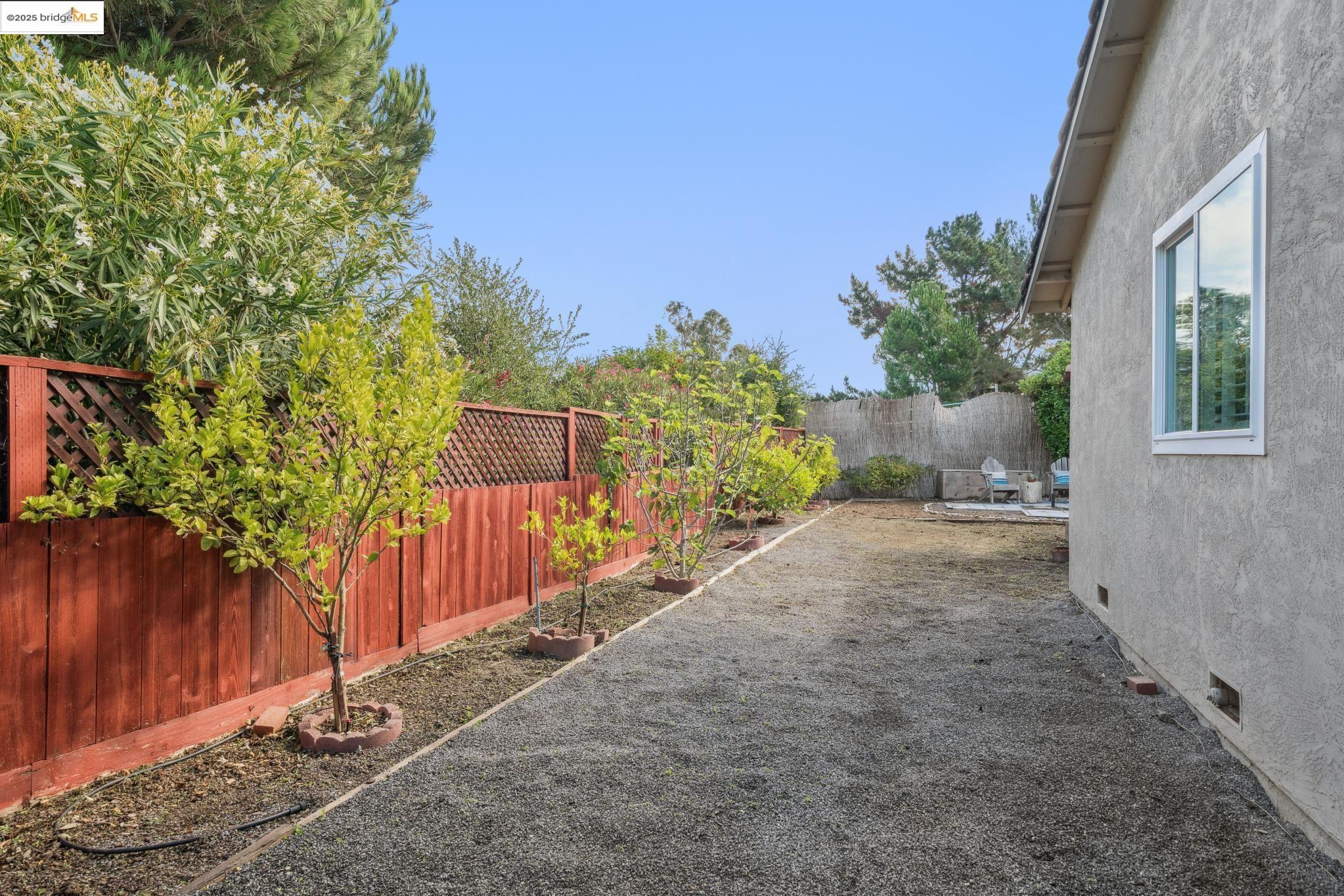 2216 Bristlecone Drive