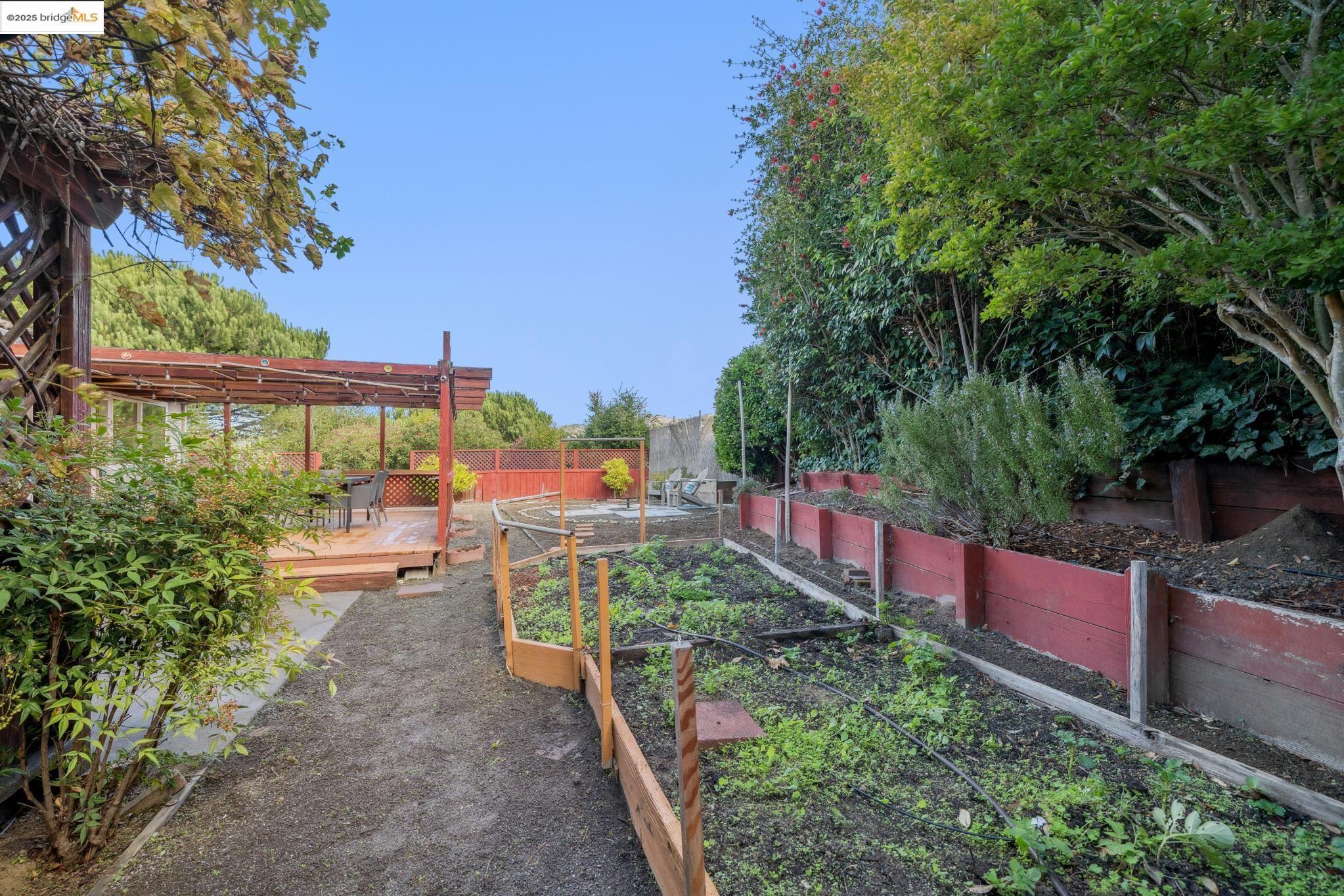 2216 Bristlecone Drive