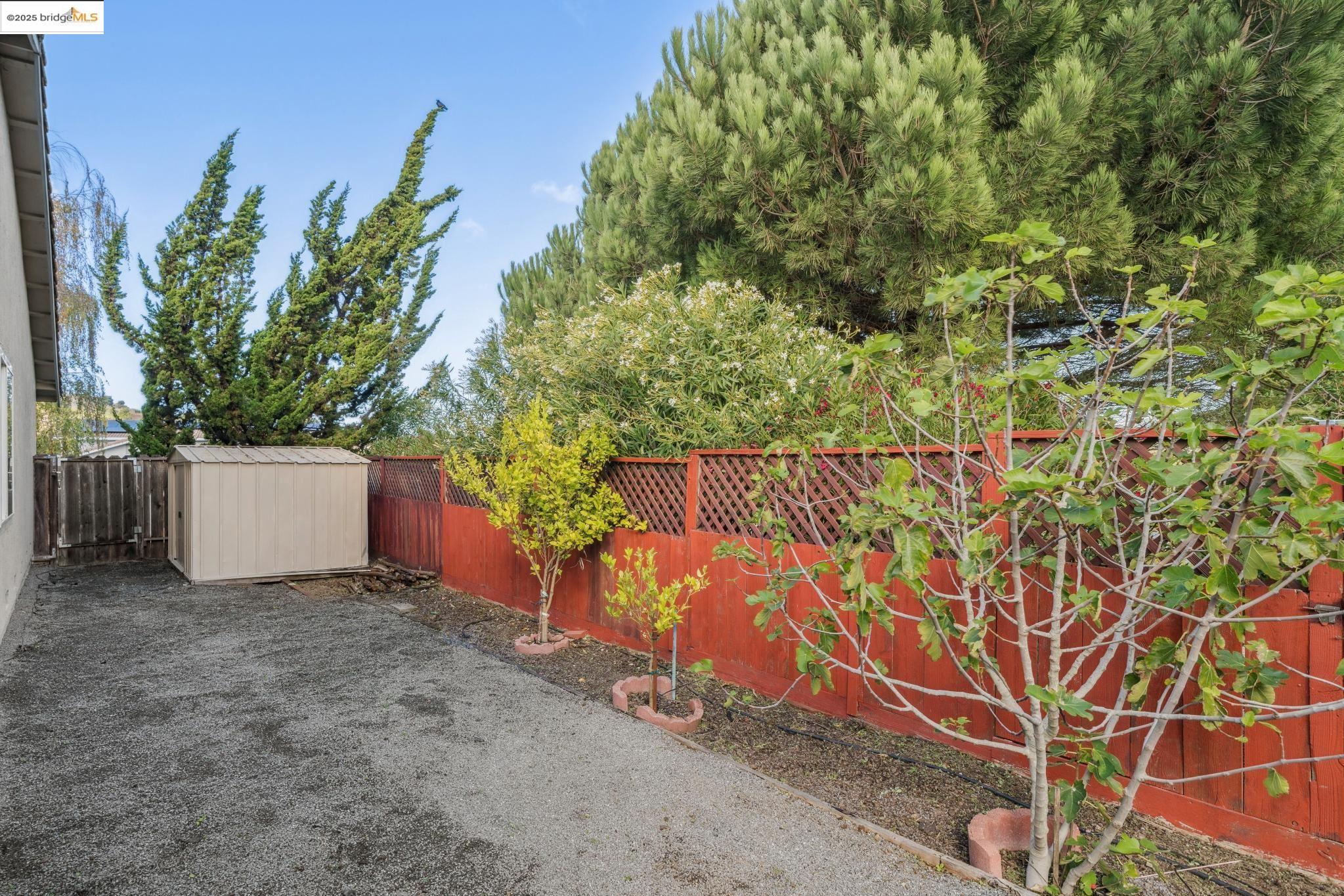 2216 Bristlecone Drive