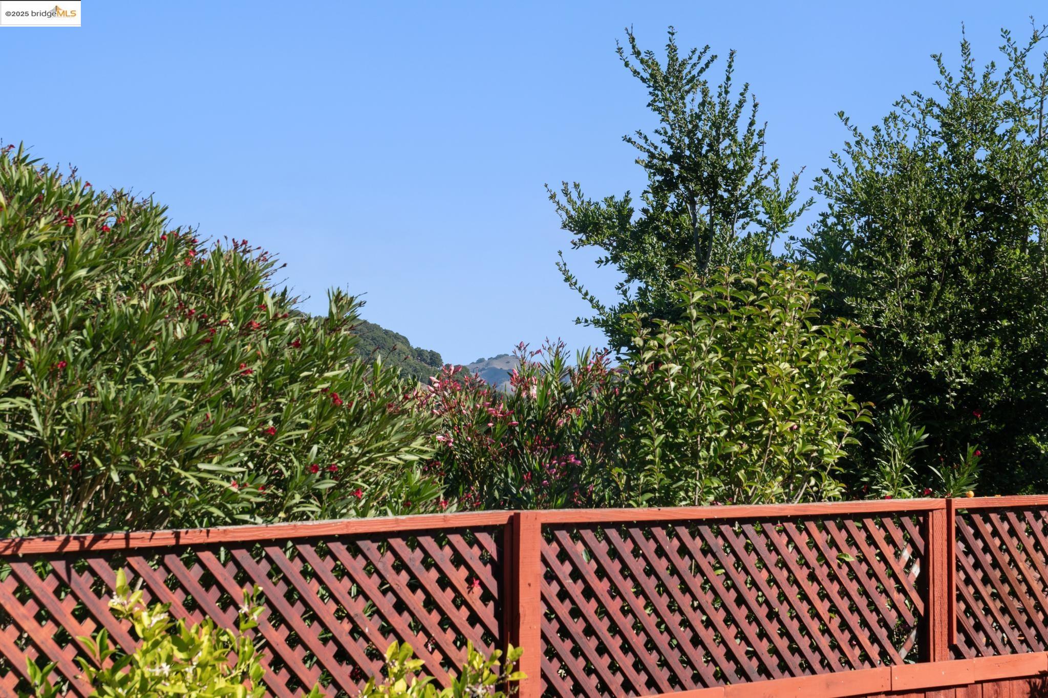 2216 Bristlecone Drive