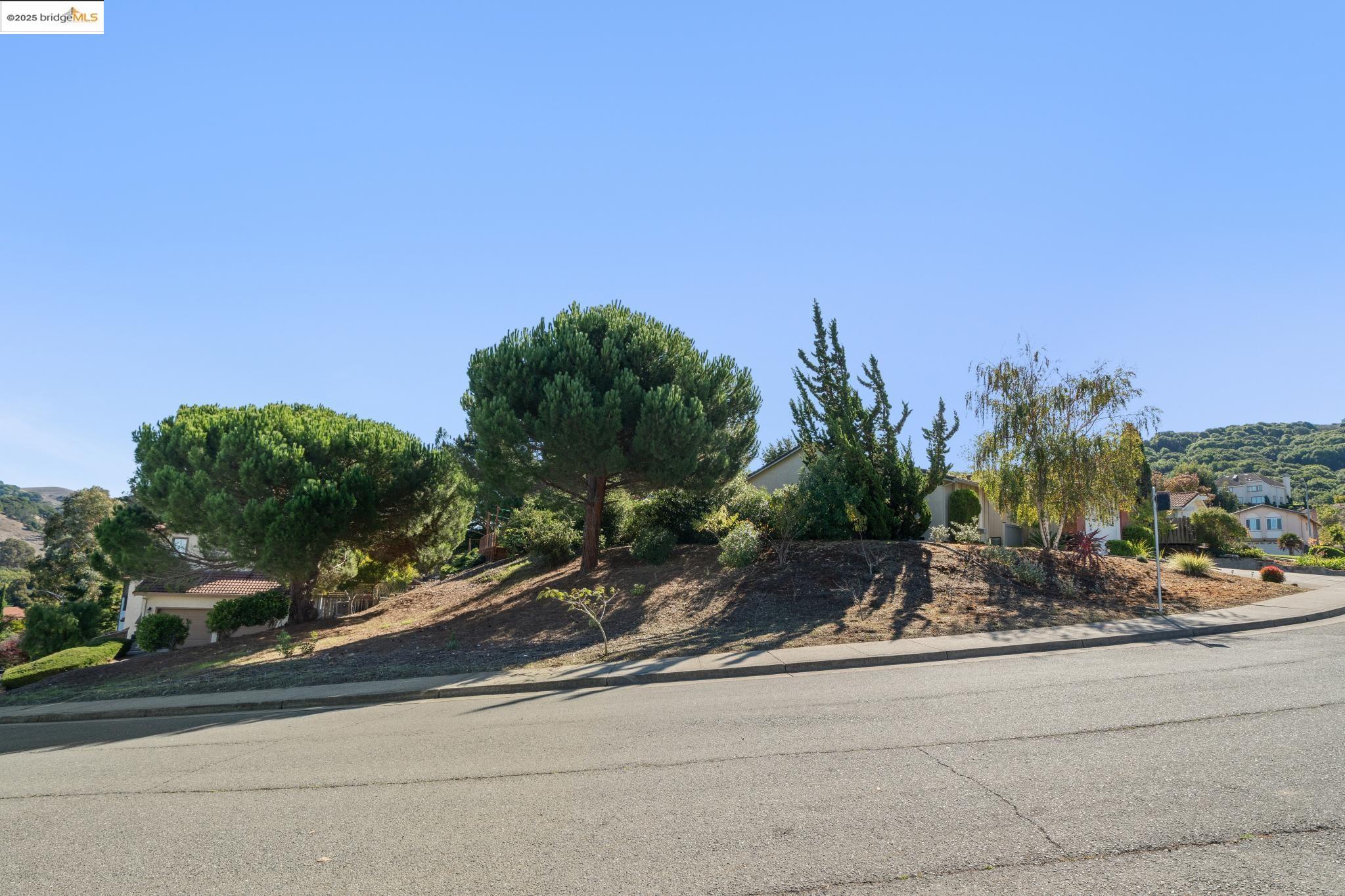 2216 Bristlecone Drive